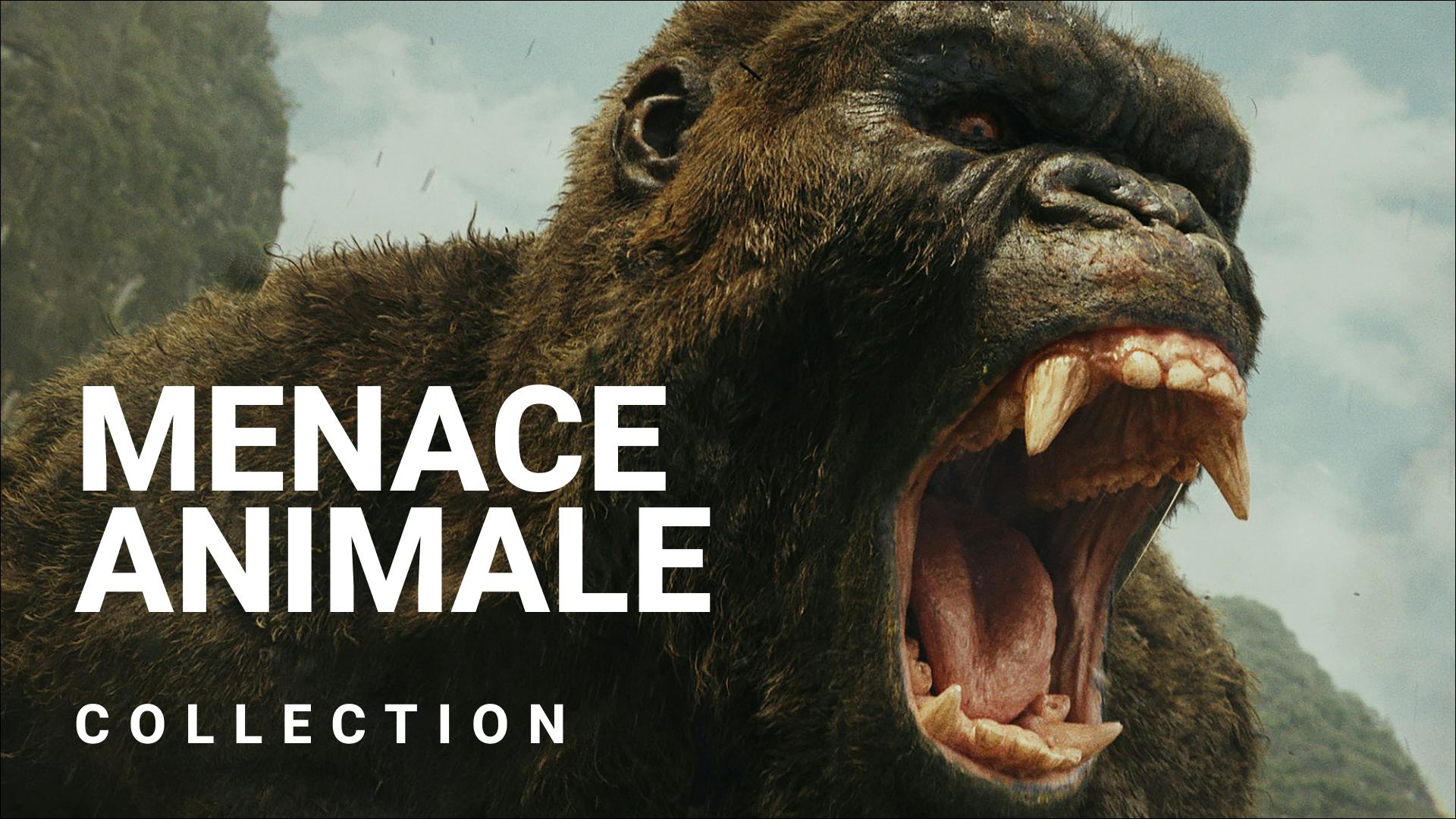 Même pas peur des grosses bêtes