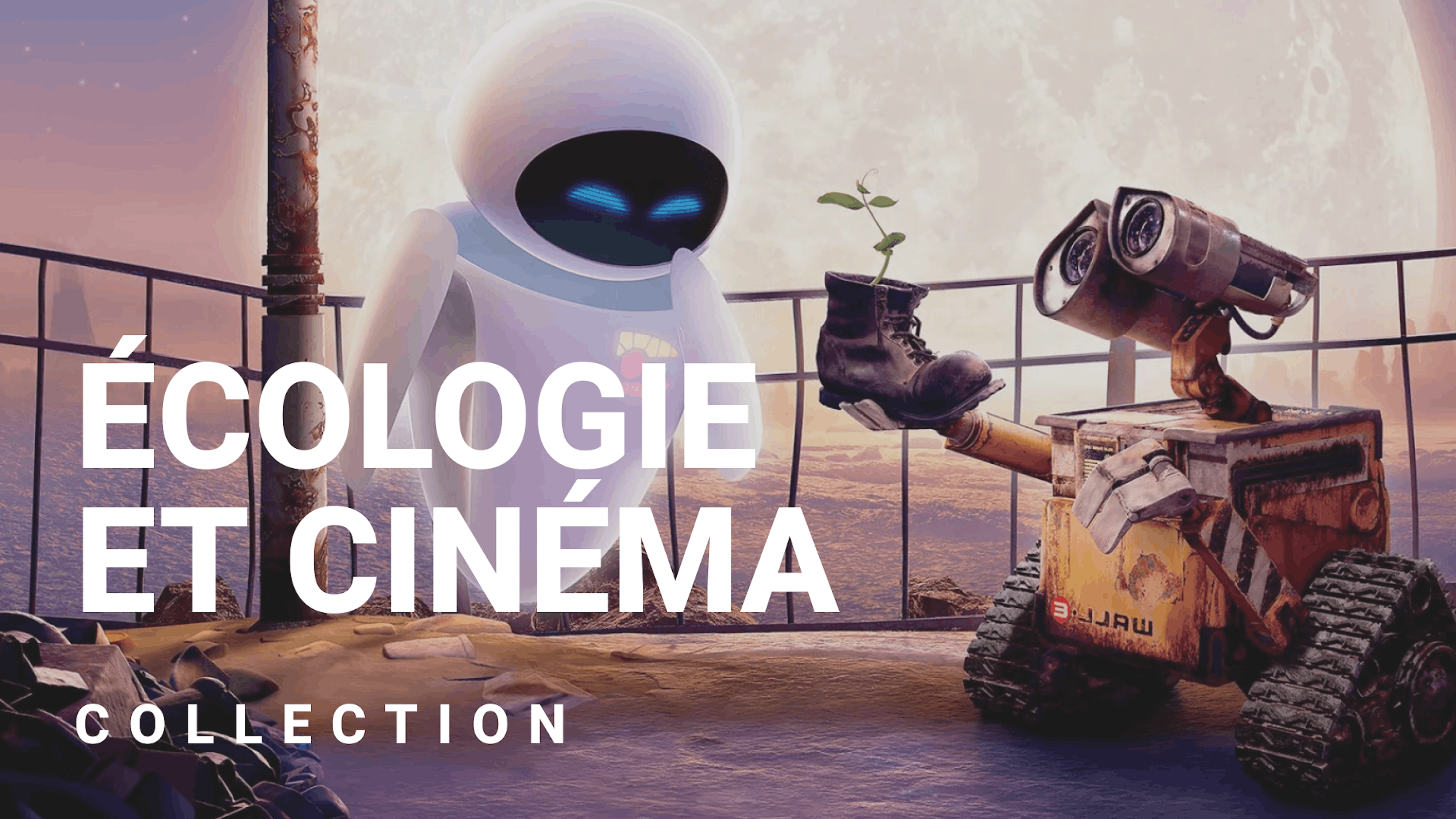 Écologie & cinéma engagé