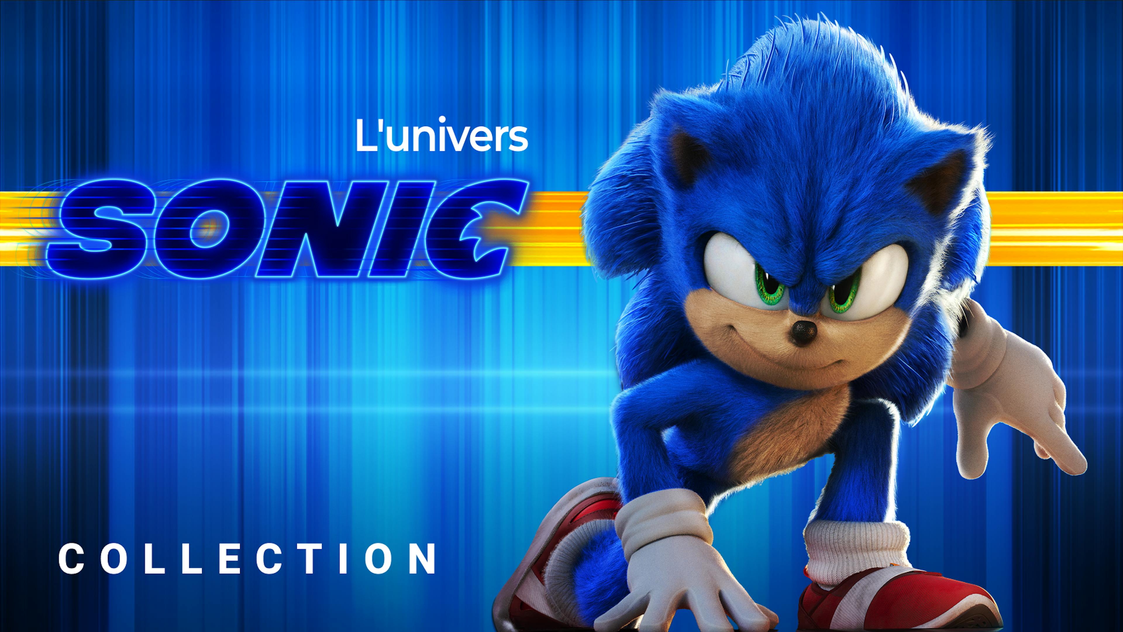 L'univers Sonic