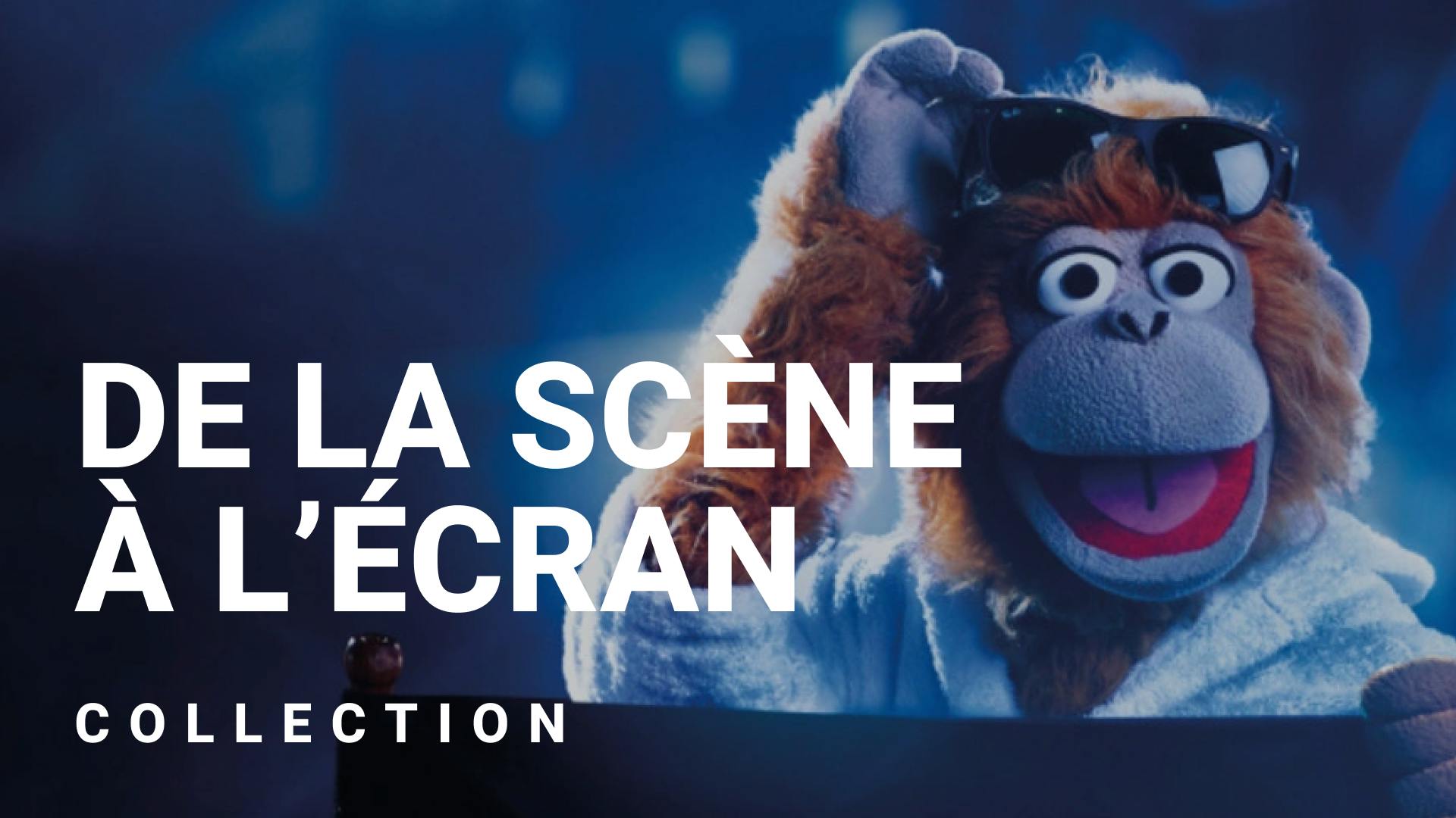 Du stand-up au cinéma, il n'y a qu'un pas