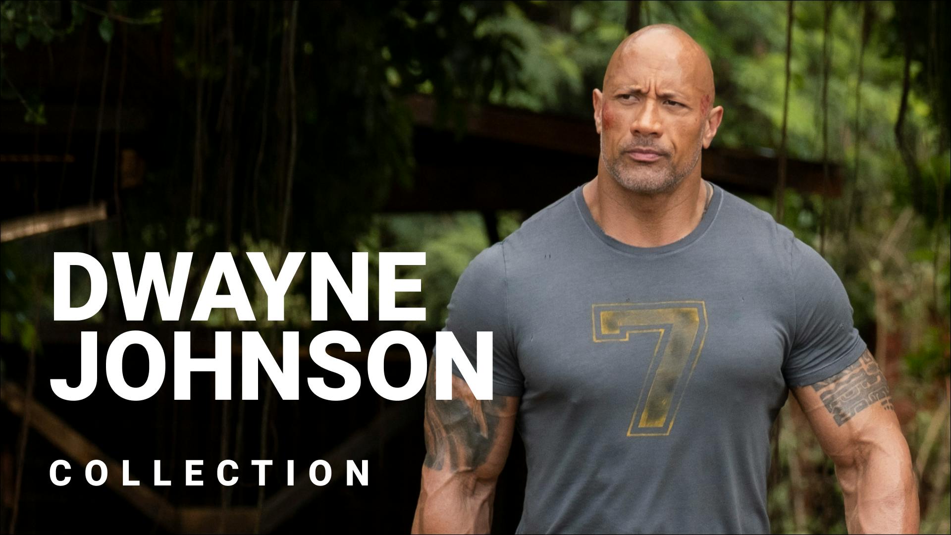 Les films avec Dwayne Johnson