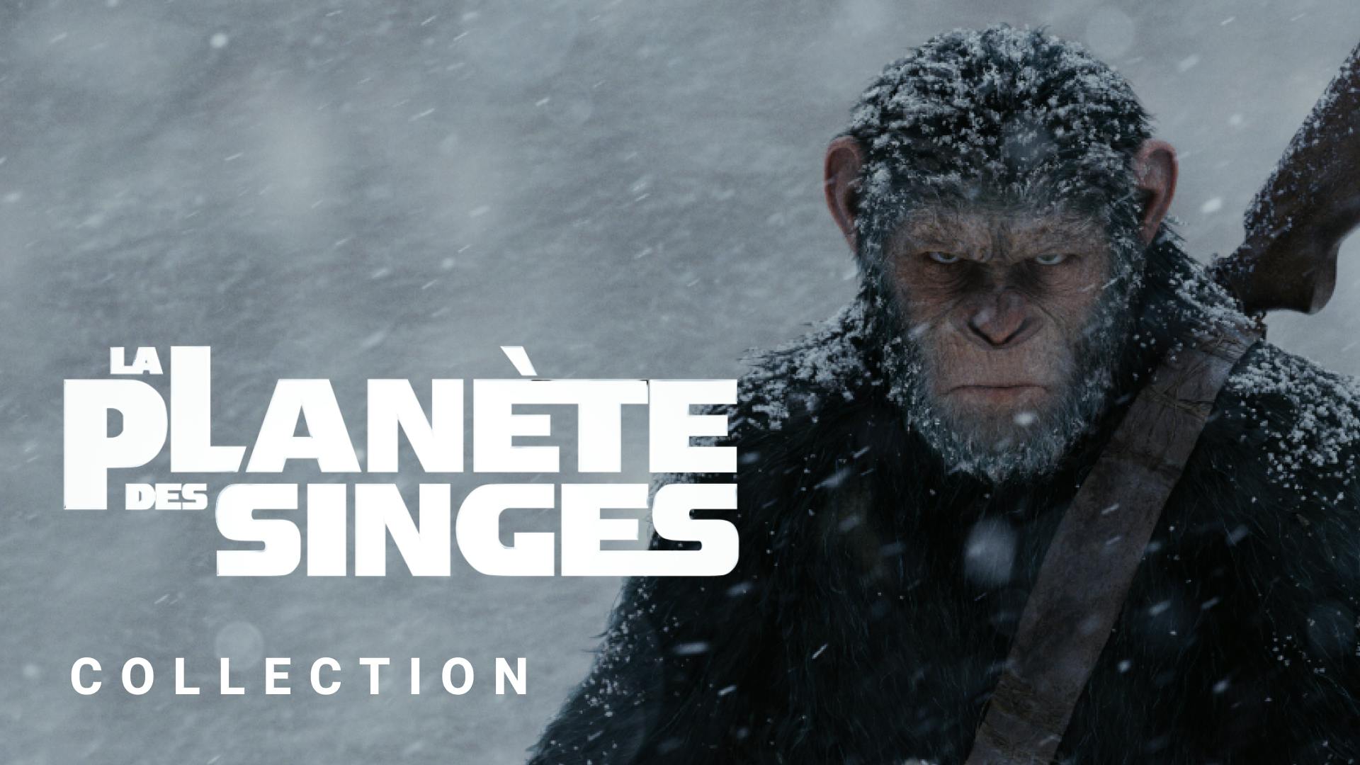 La saga La Planète des Singes