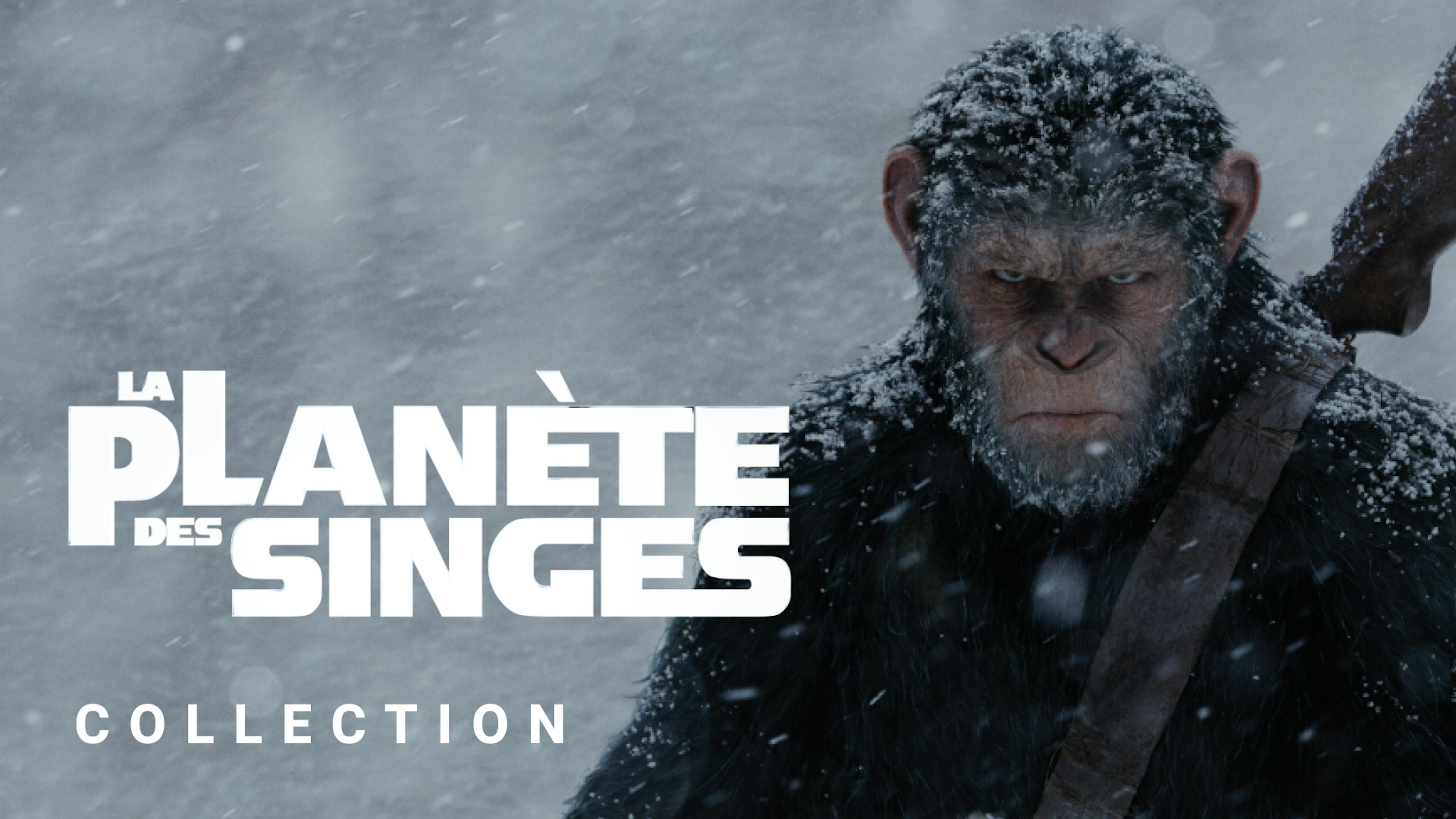 La saga La Planète des Singes