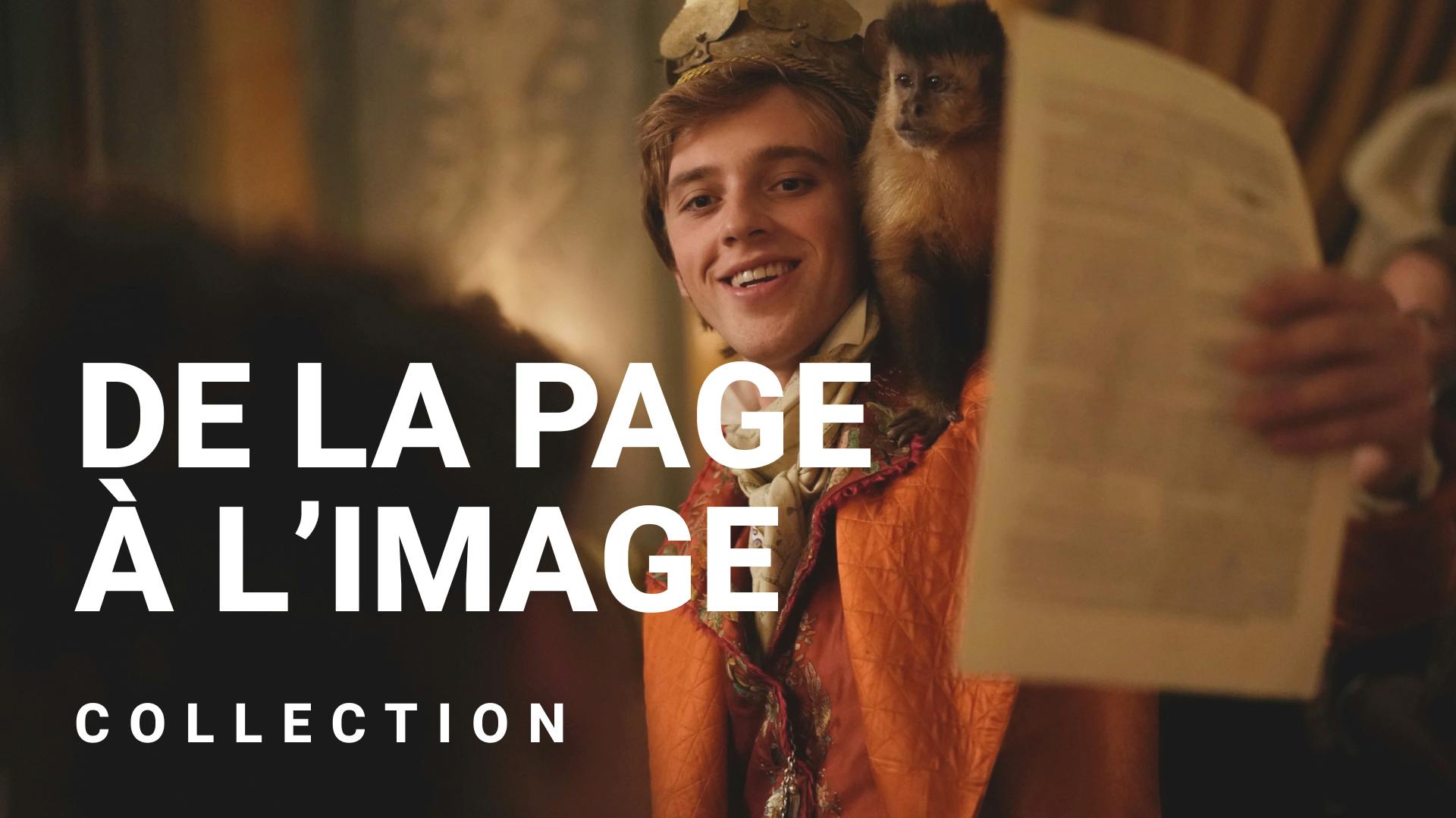 Les adaptations littéraires françaises