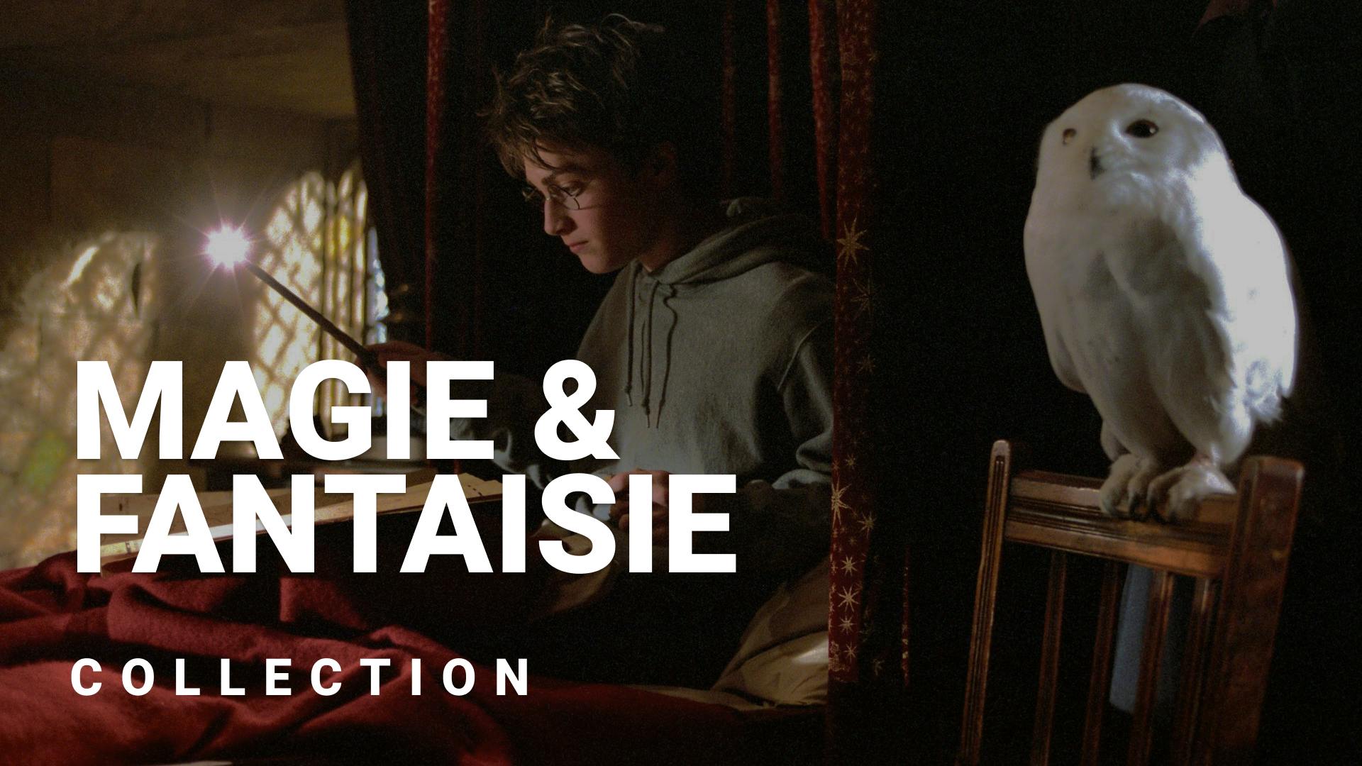 Les films de magie et de fantaisie