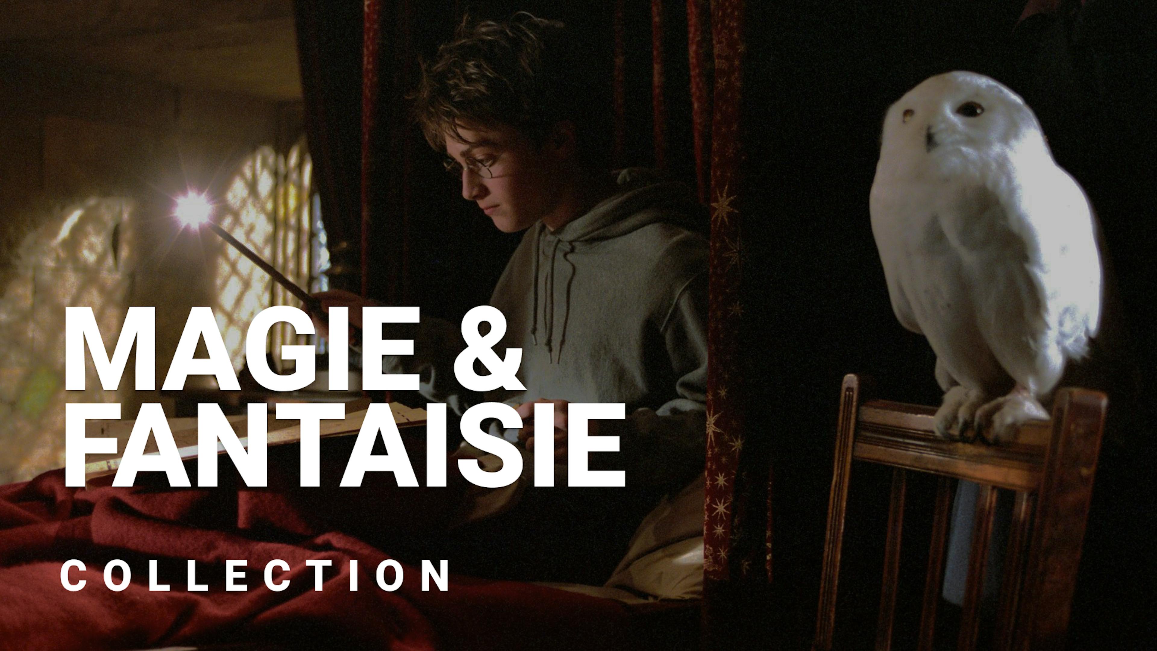 Les films de magie et de fantaisie