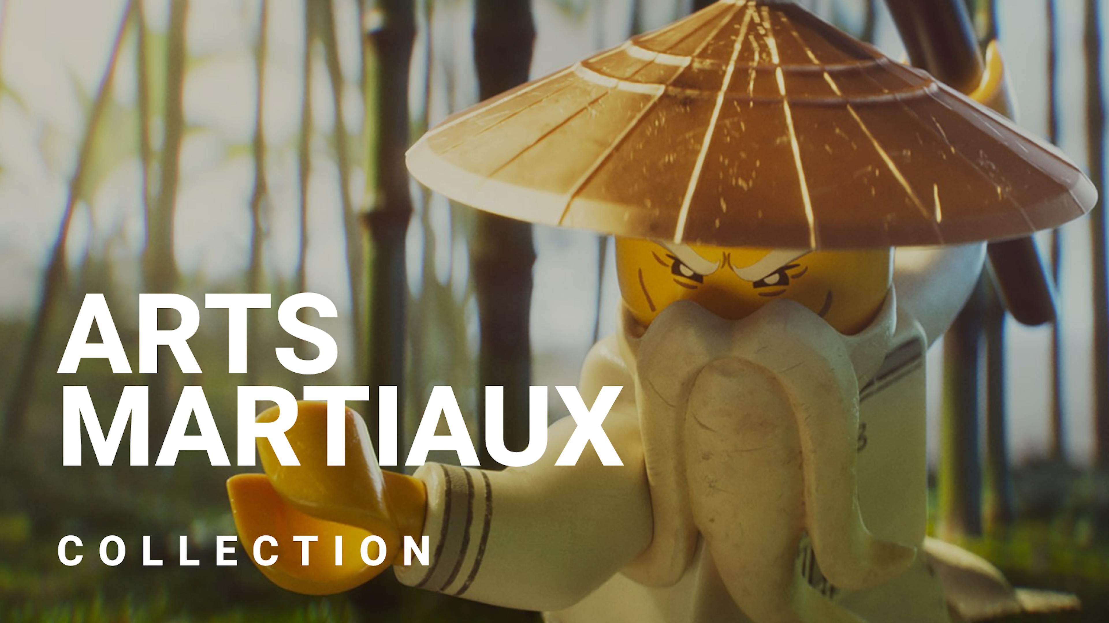 Films d'arts martiaux
