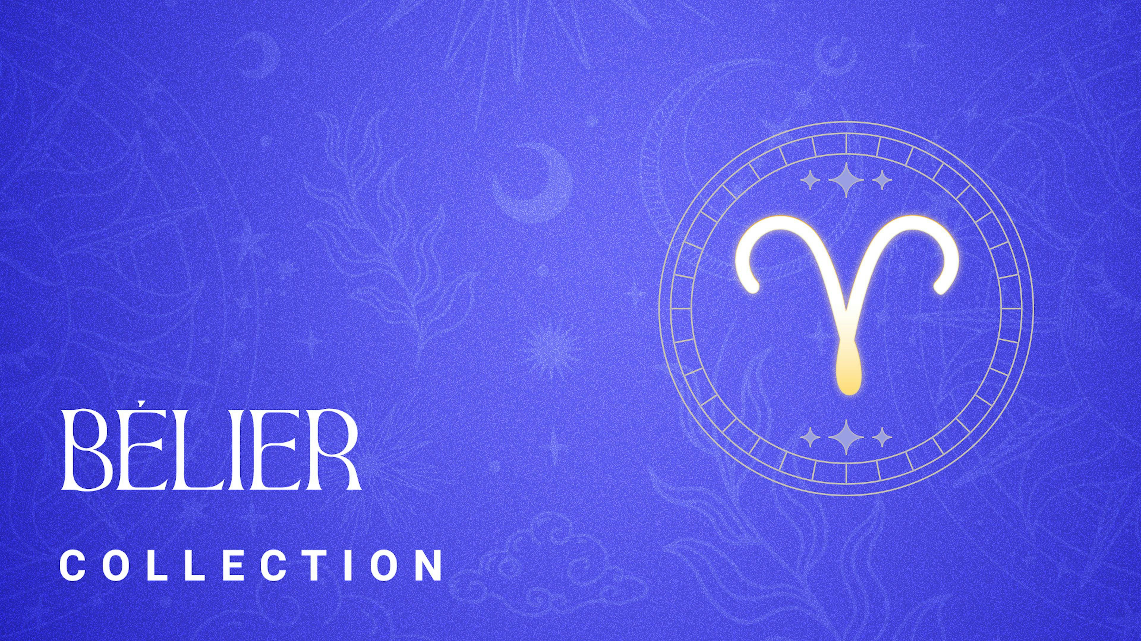 Les films pour les Béliers