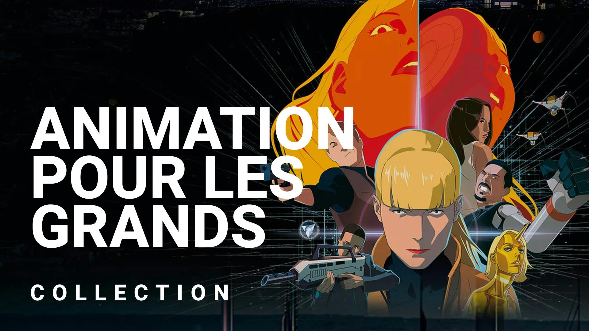 Films d'animation pour les grands