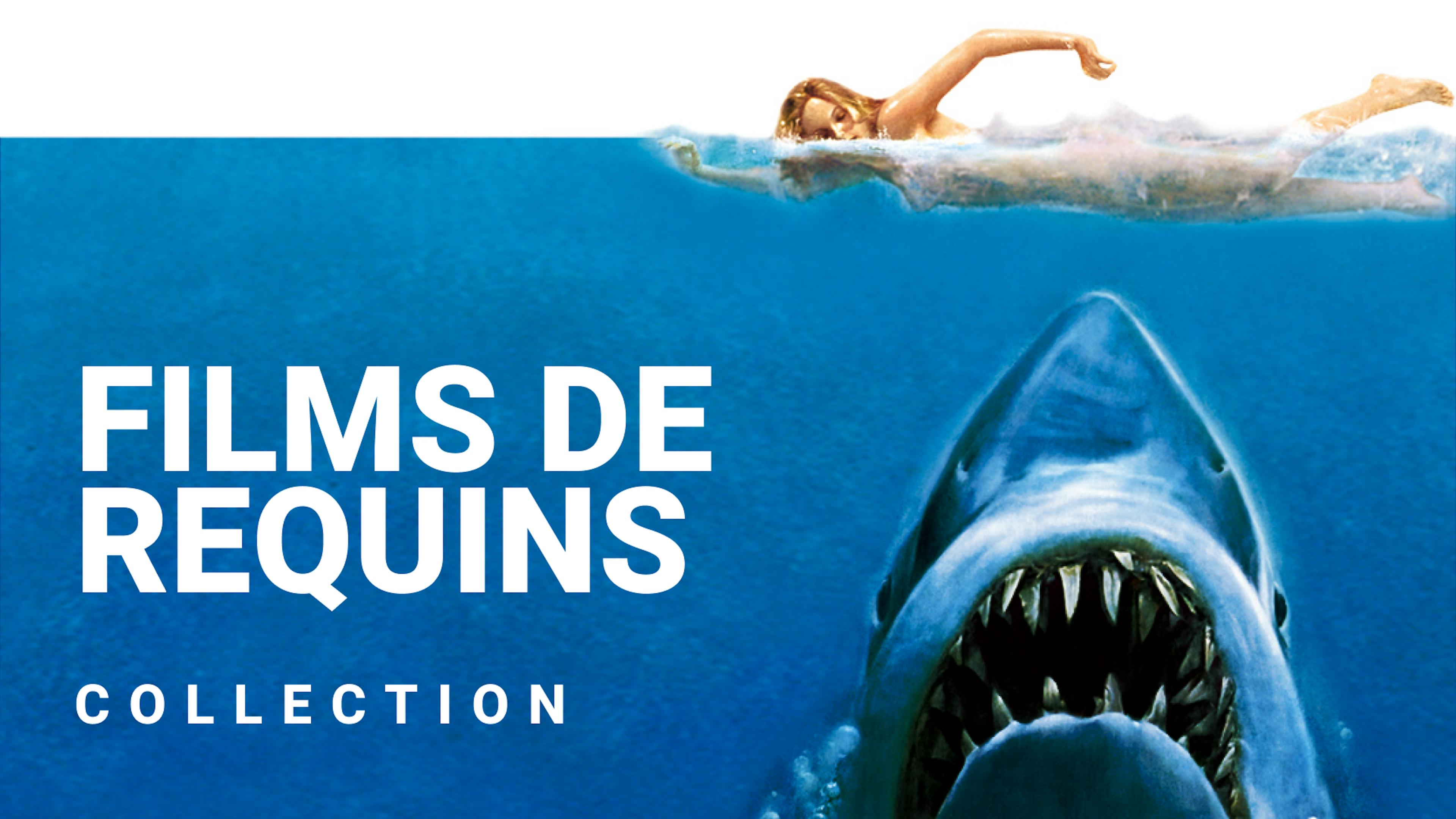 Les films de requins