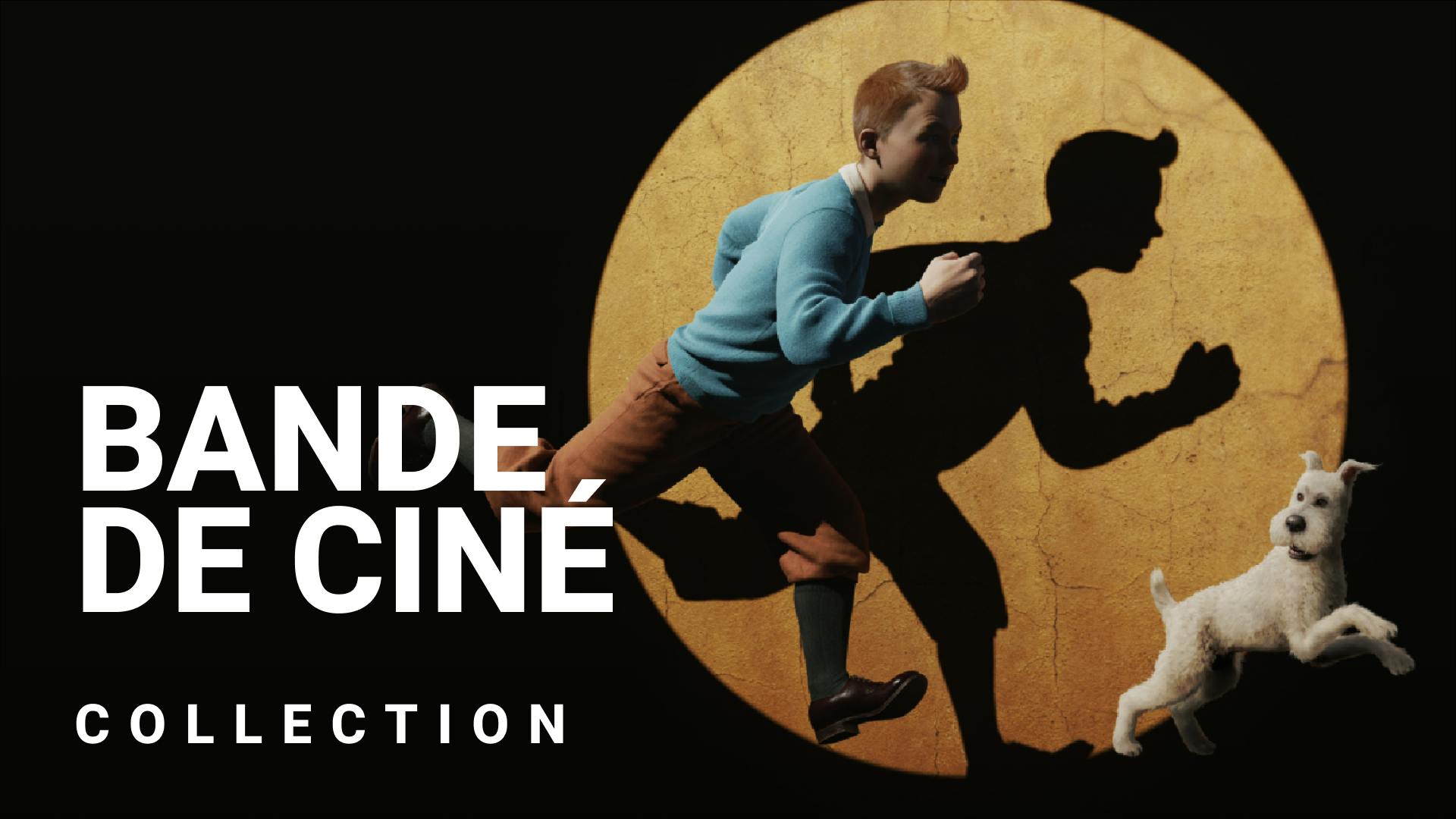 Les films adaptés de bandes-dessinées