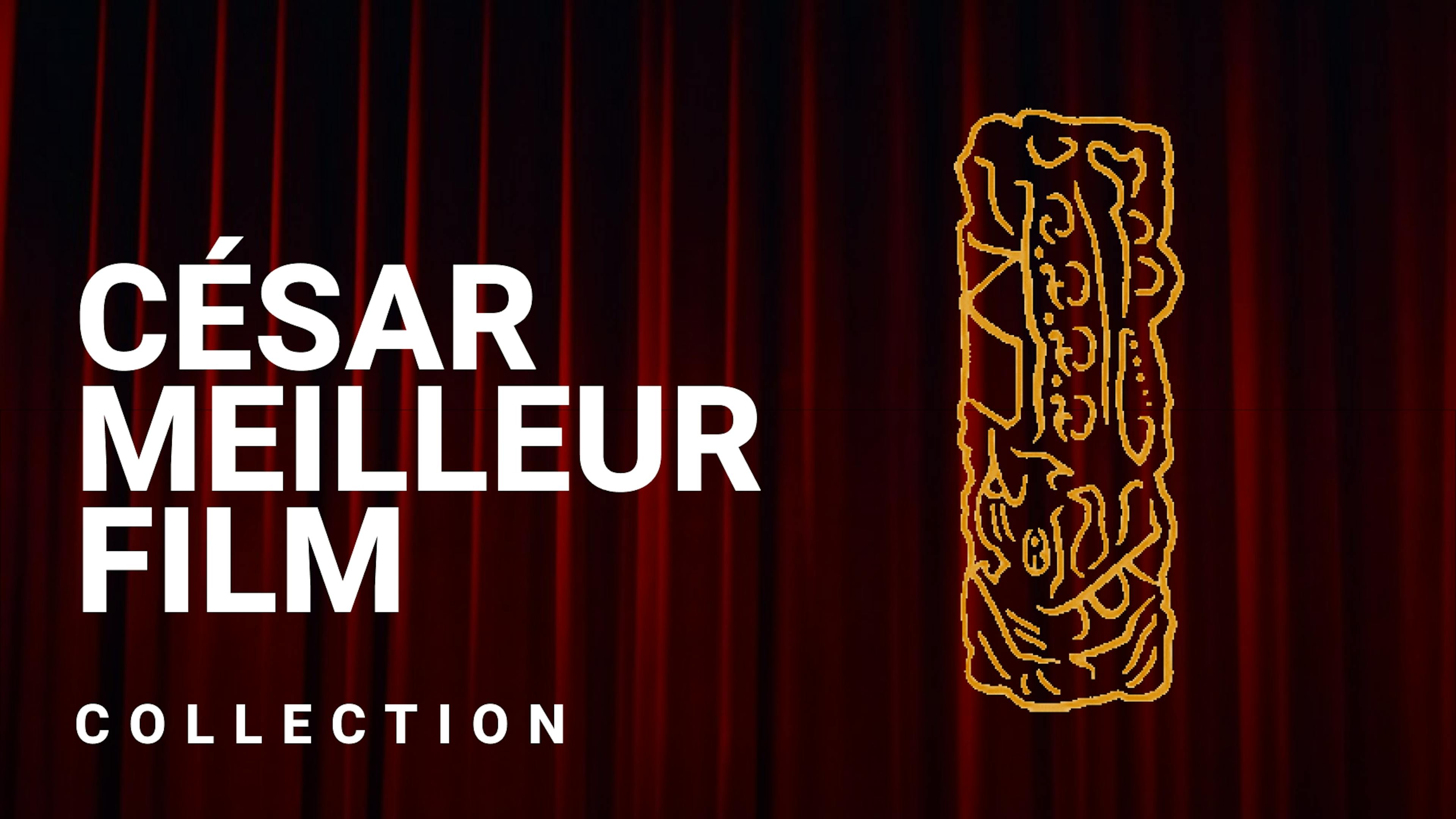 Les César du meilleur film