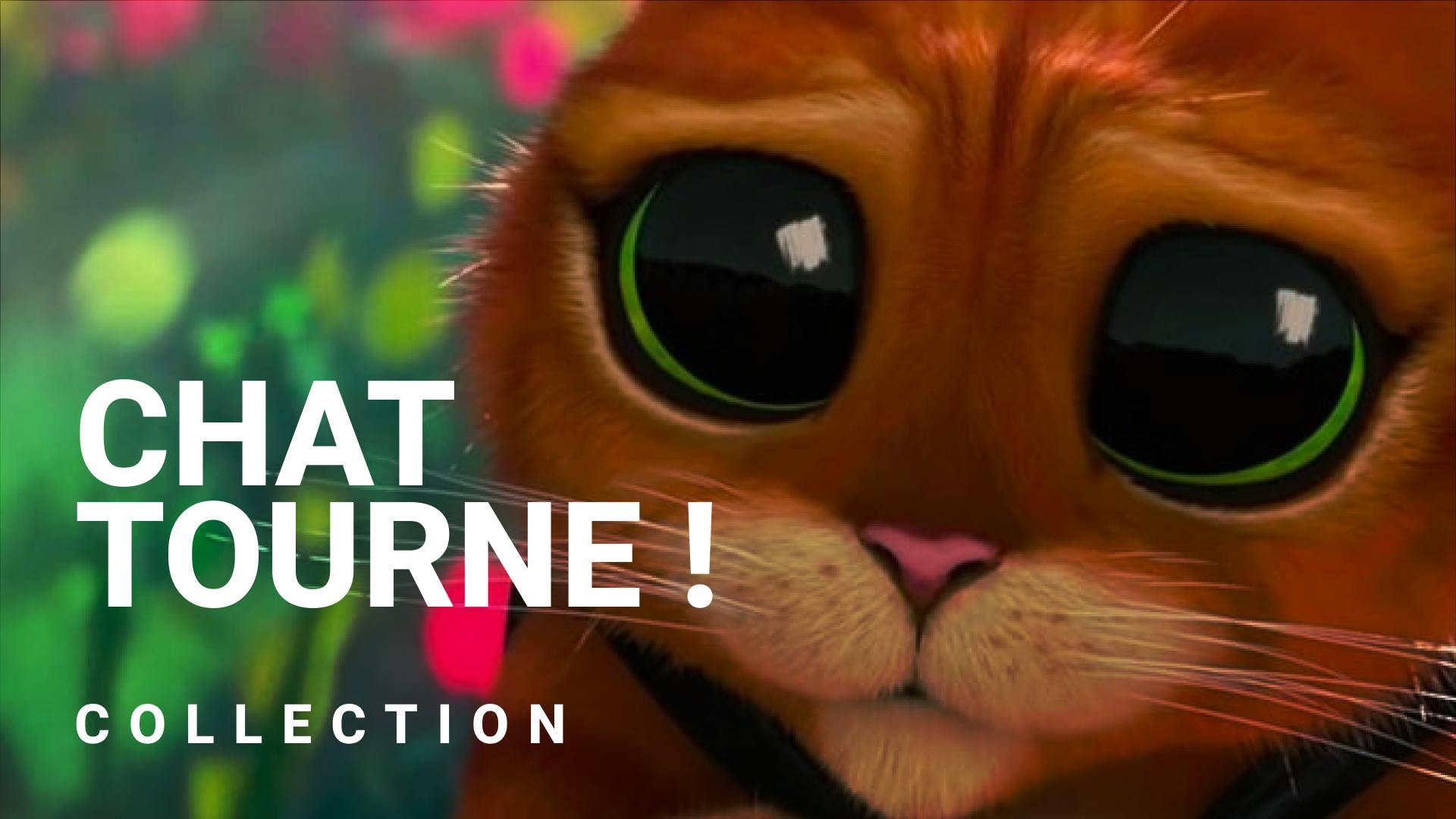 Silence, chat tourne !