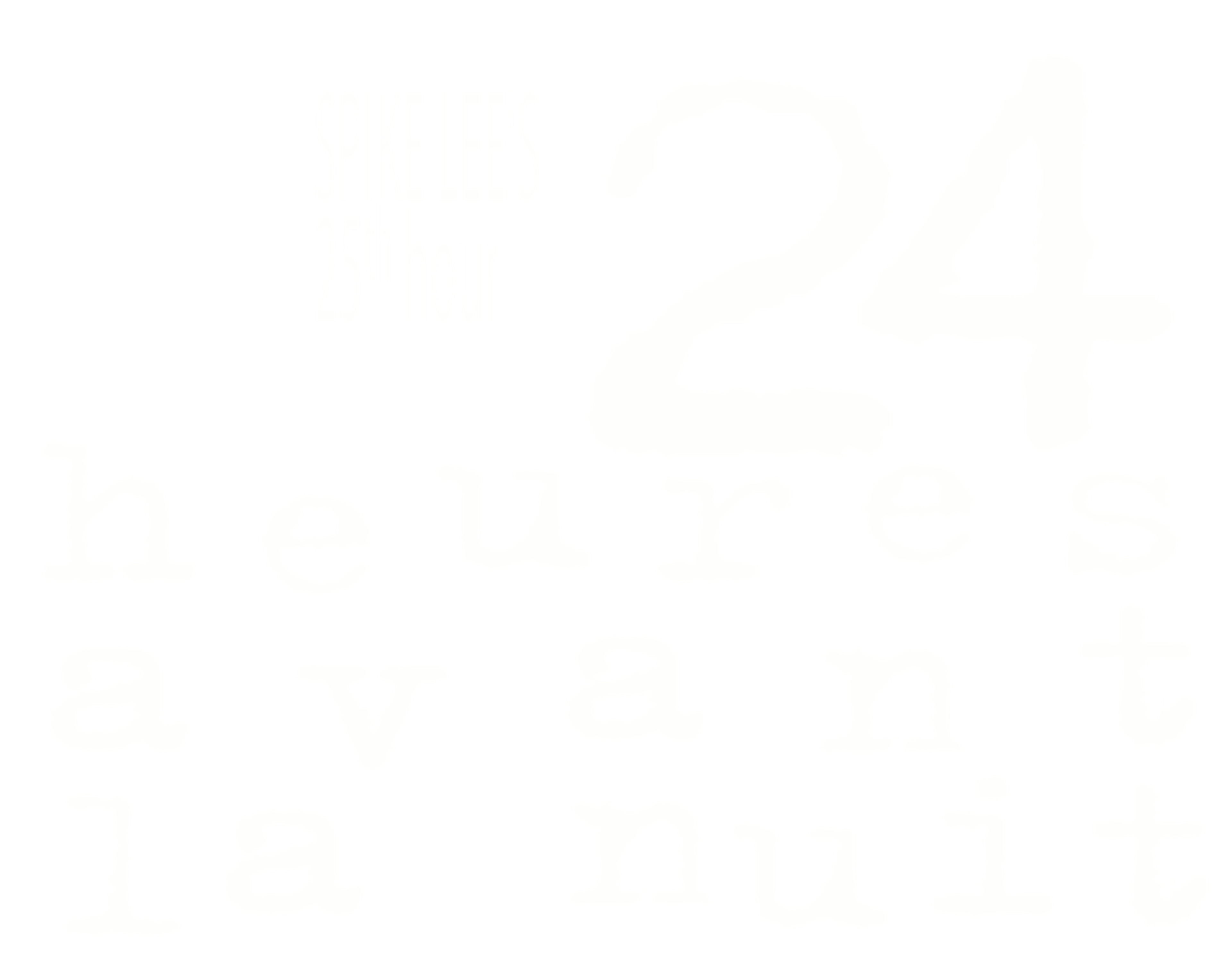 24 heures avant la nuit