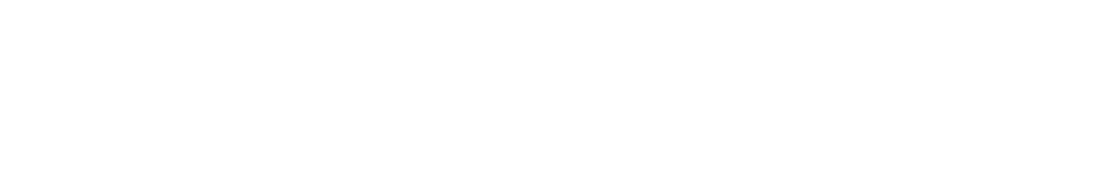 Apollo 11