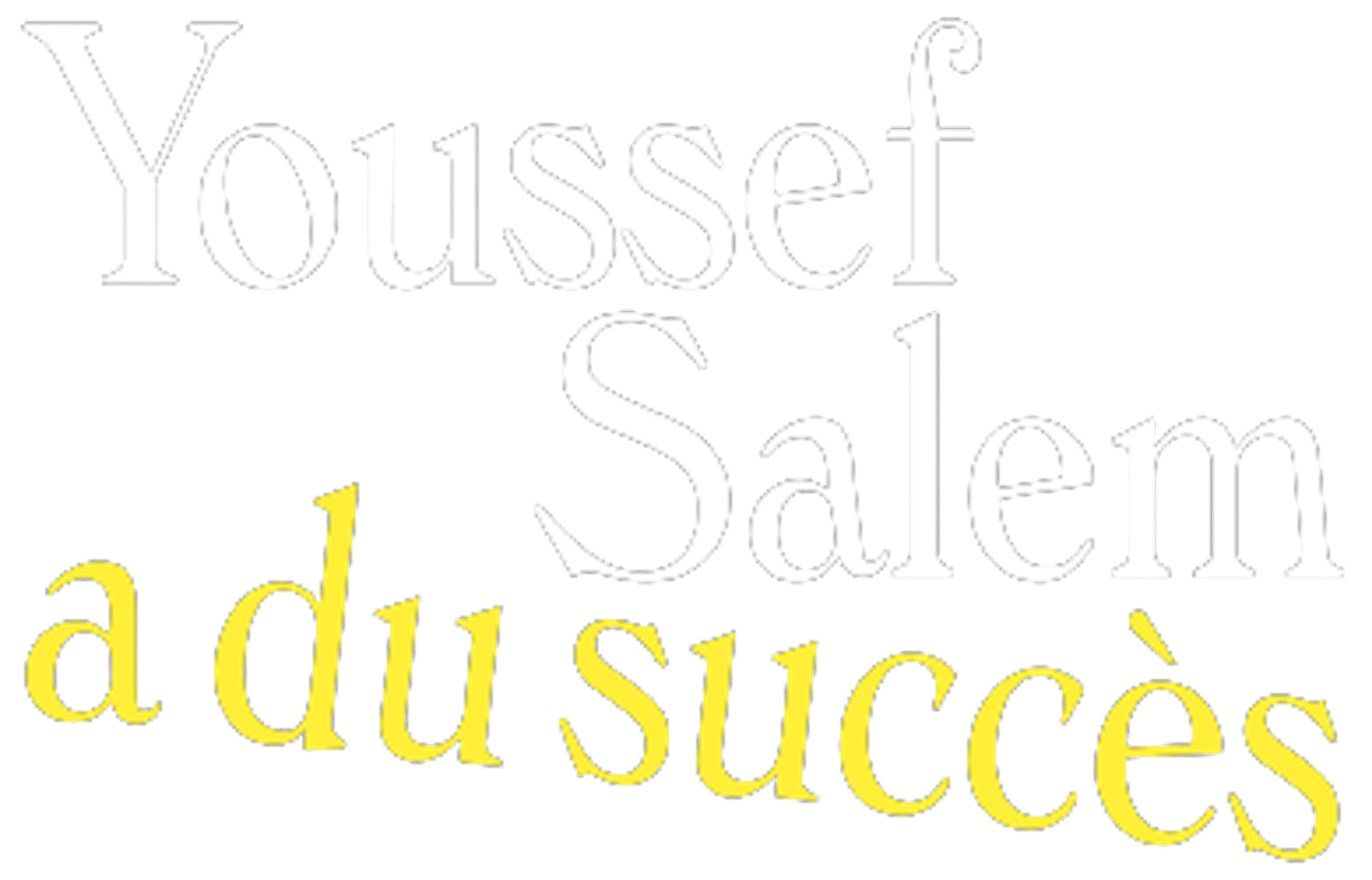 Youssef Salem a du succès