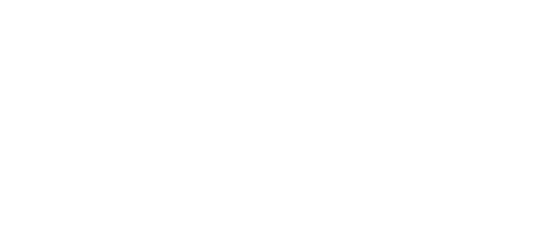 Assassination Nation 