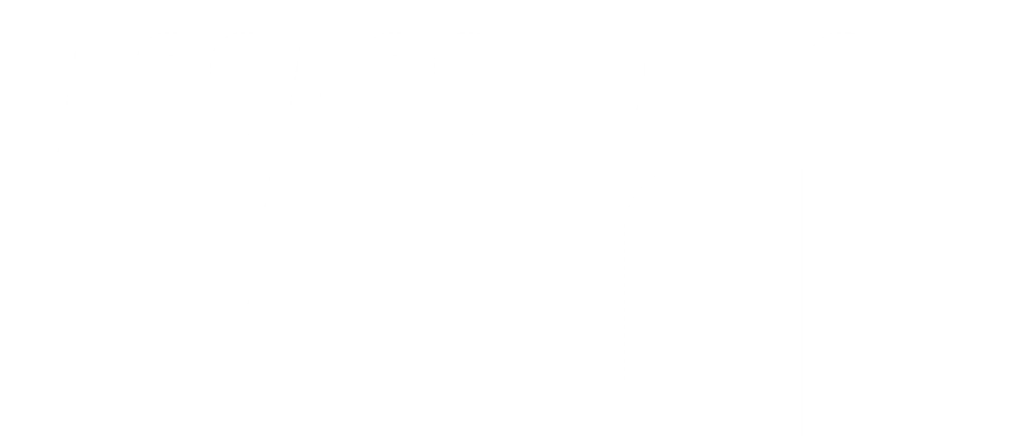 Assassination Nation