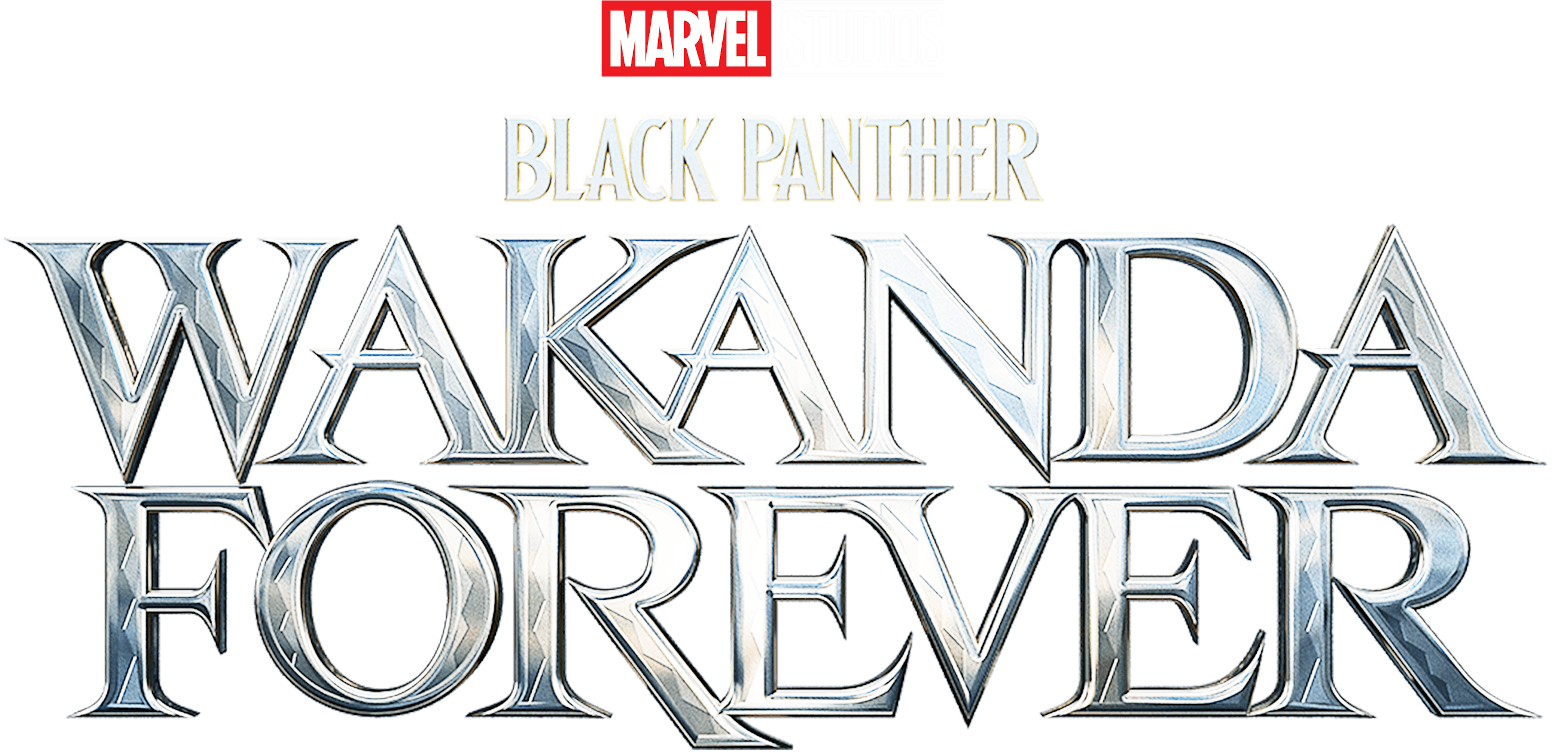 Black Panther : Wakanda Forever