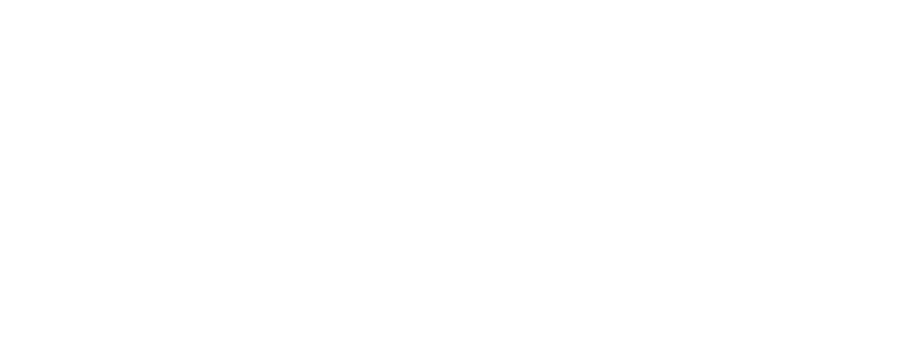 Solo