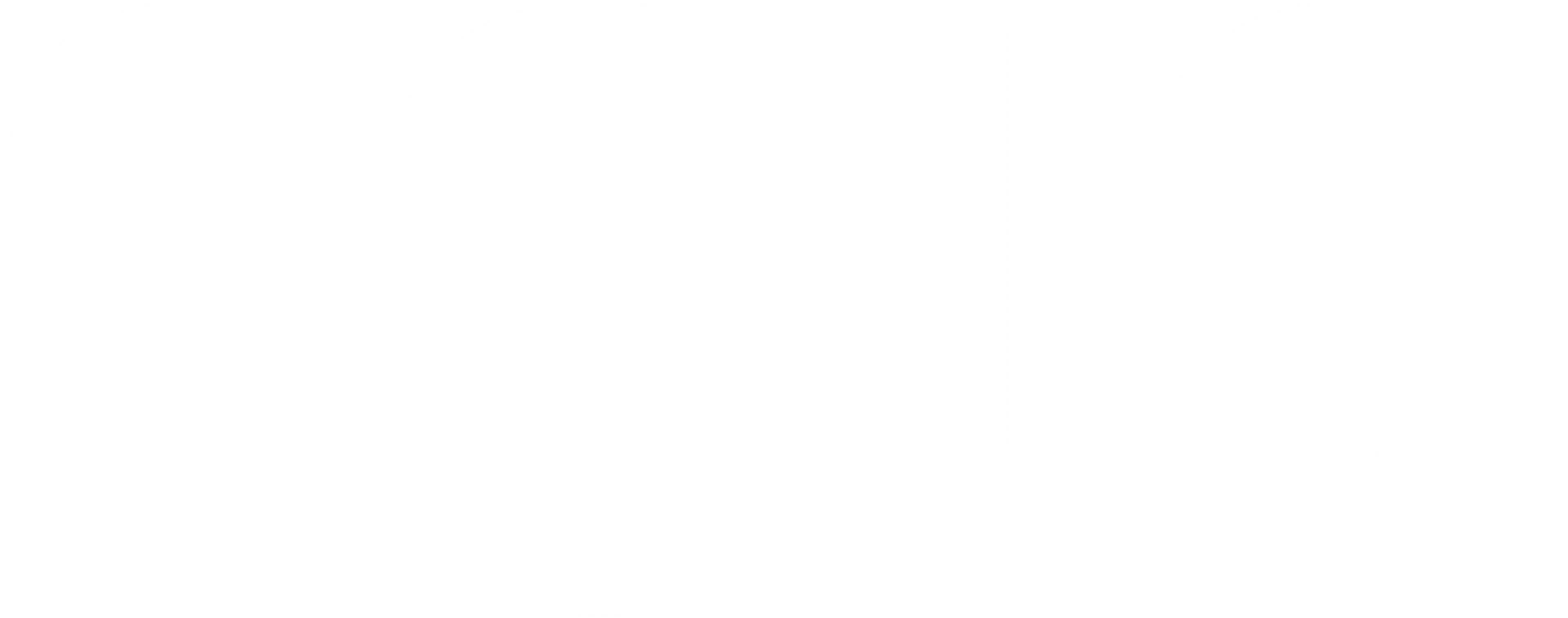 Solo