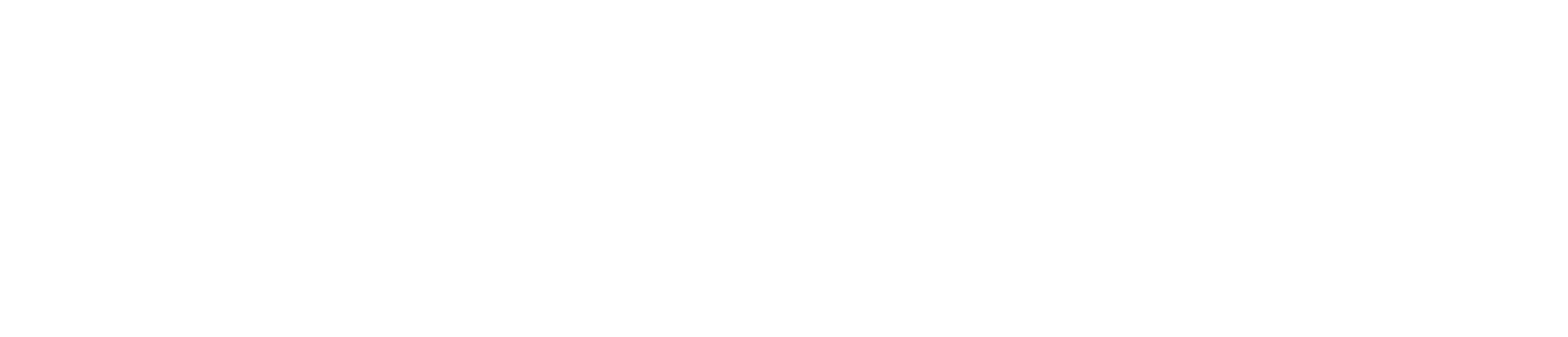 Simone, le voyage du siècle