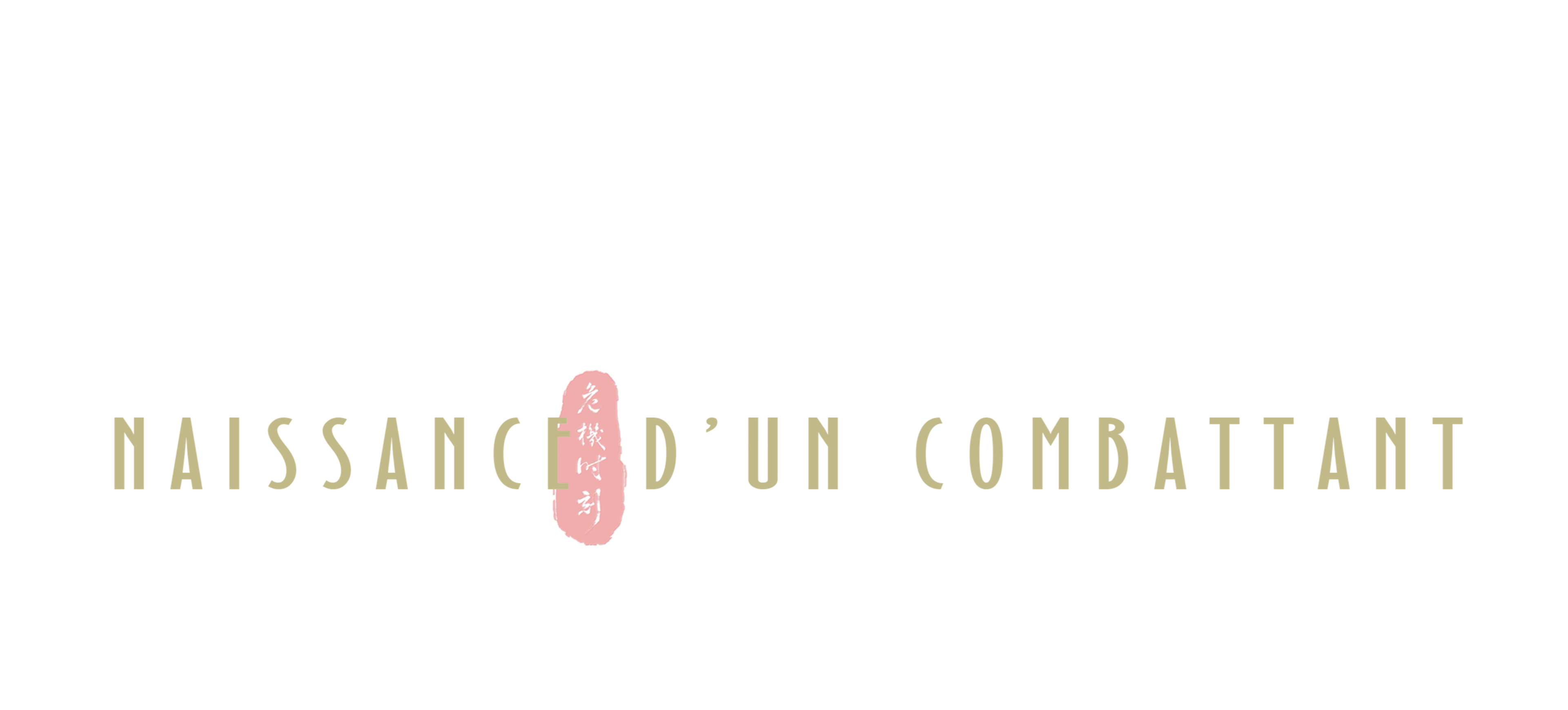 Ip Man : Naissance d'un combattant