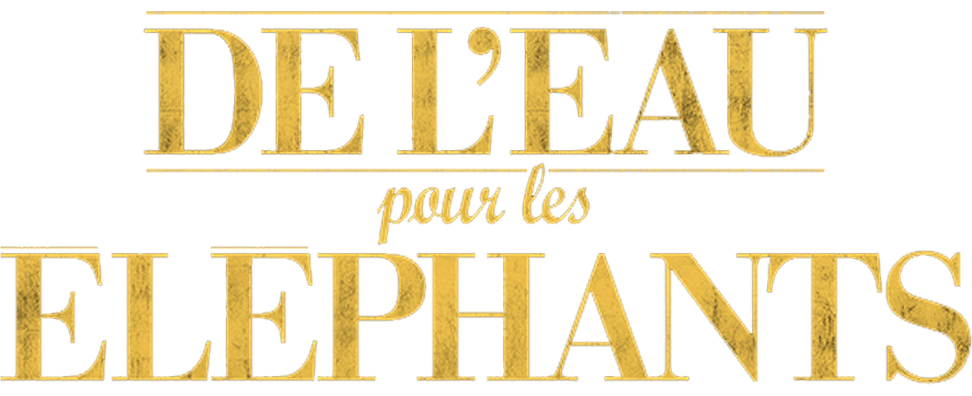De l'eau pour les éléphants