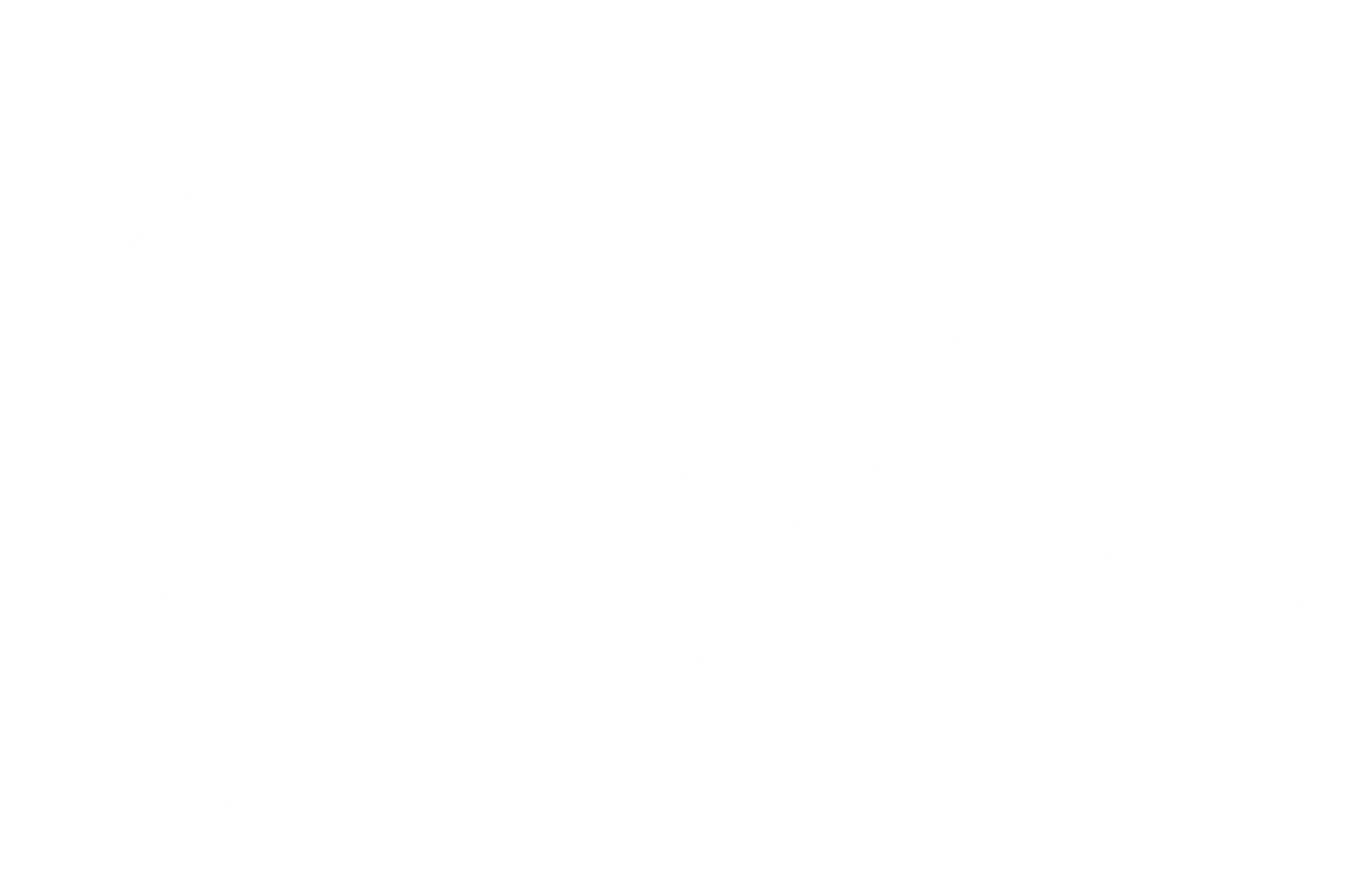 Sissi face à son destin