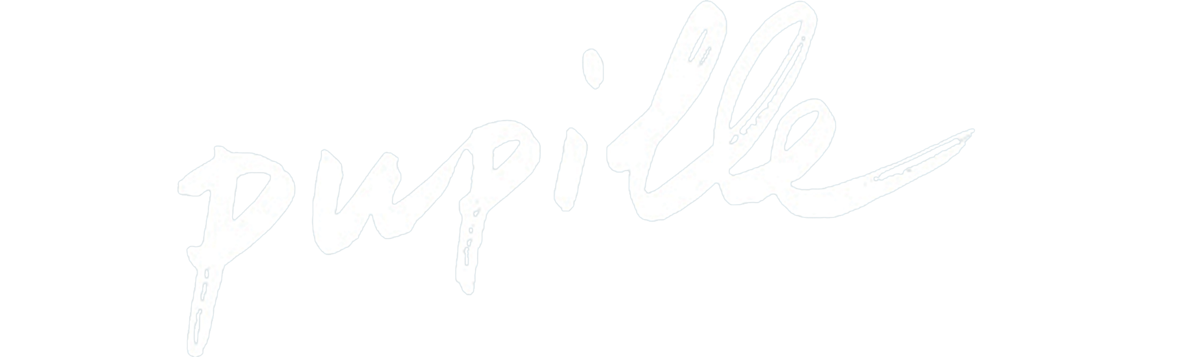 Pupille