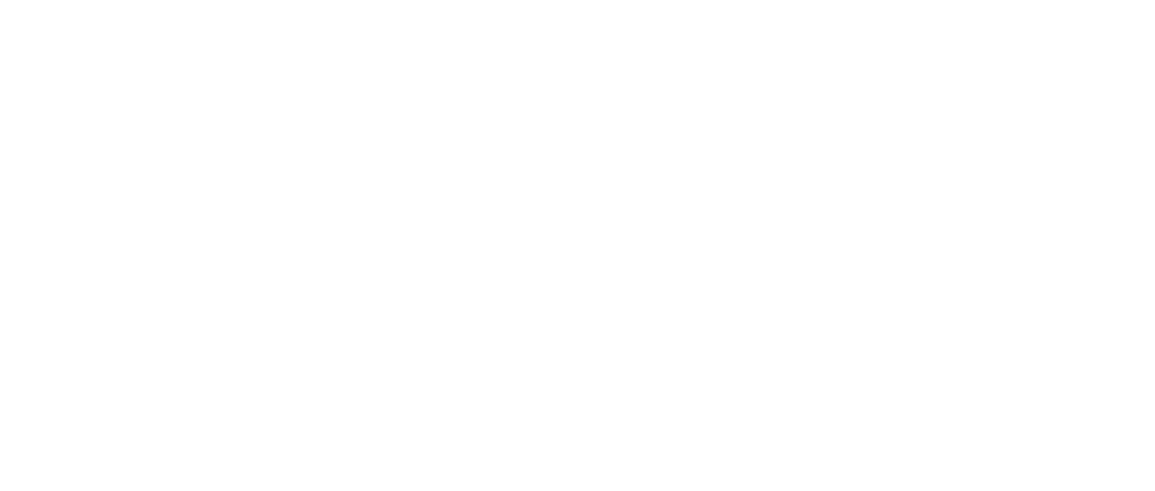 Les Incorruptibles