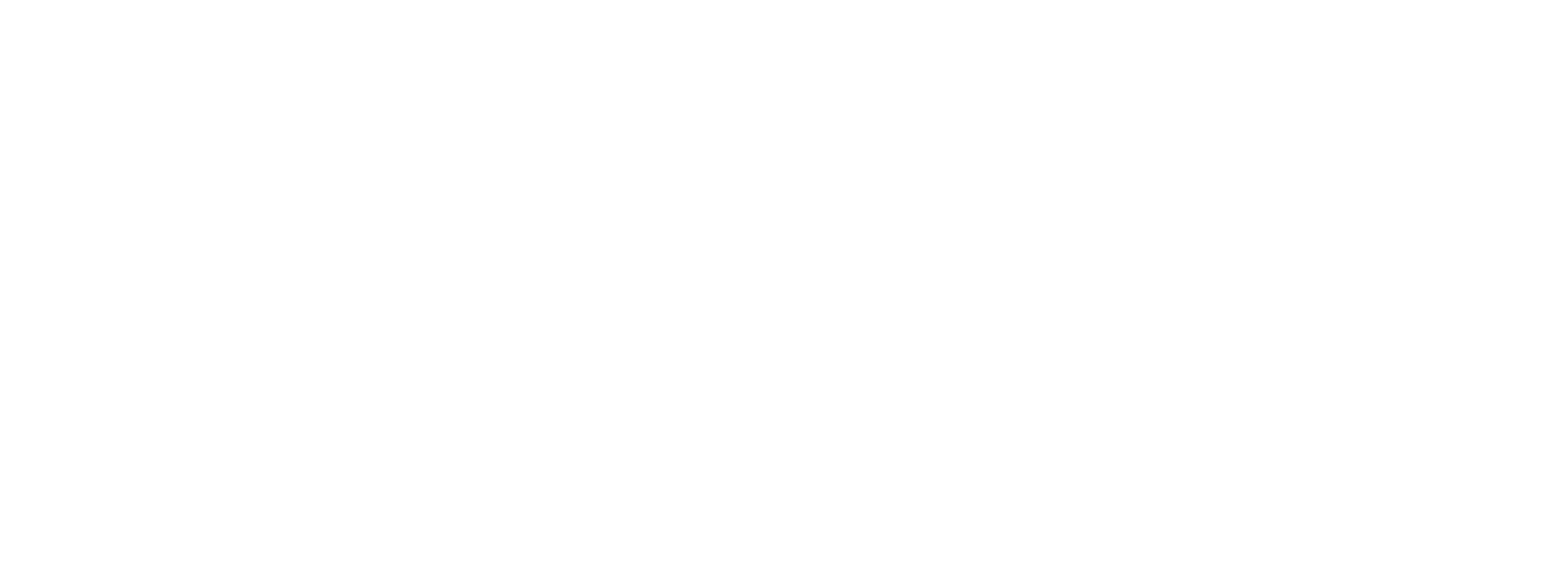 Simple comme Sylvain