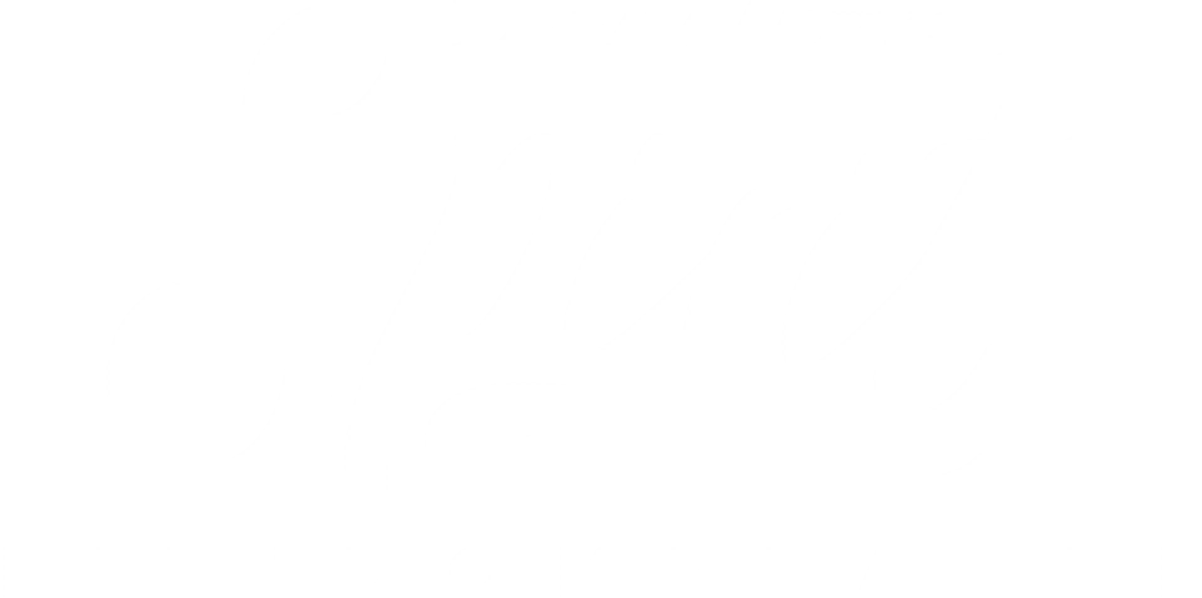 Spirit : L'Indomptable