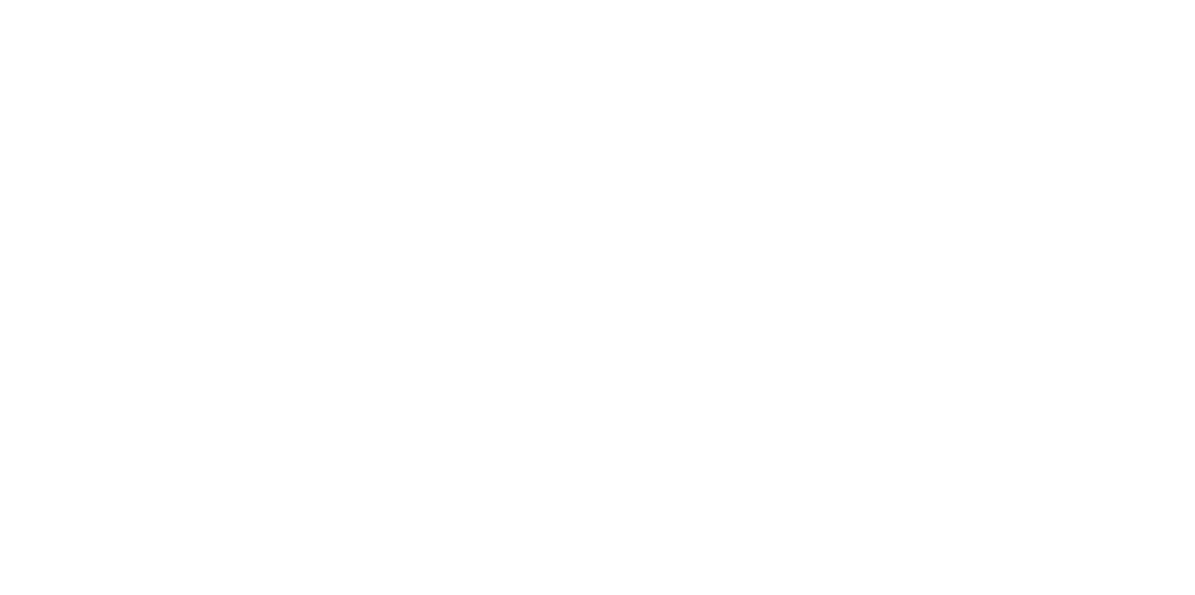 Spirit : L'Indomptable