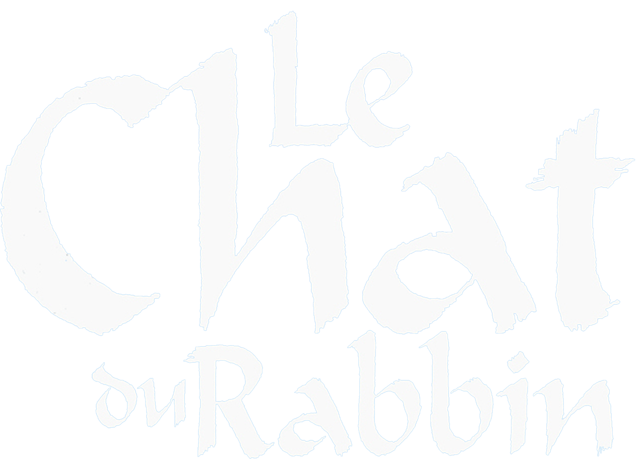 Le Chat du rabbin