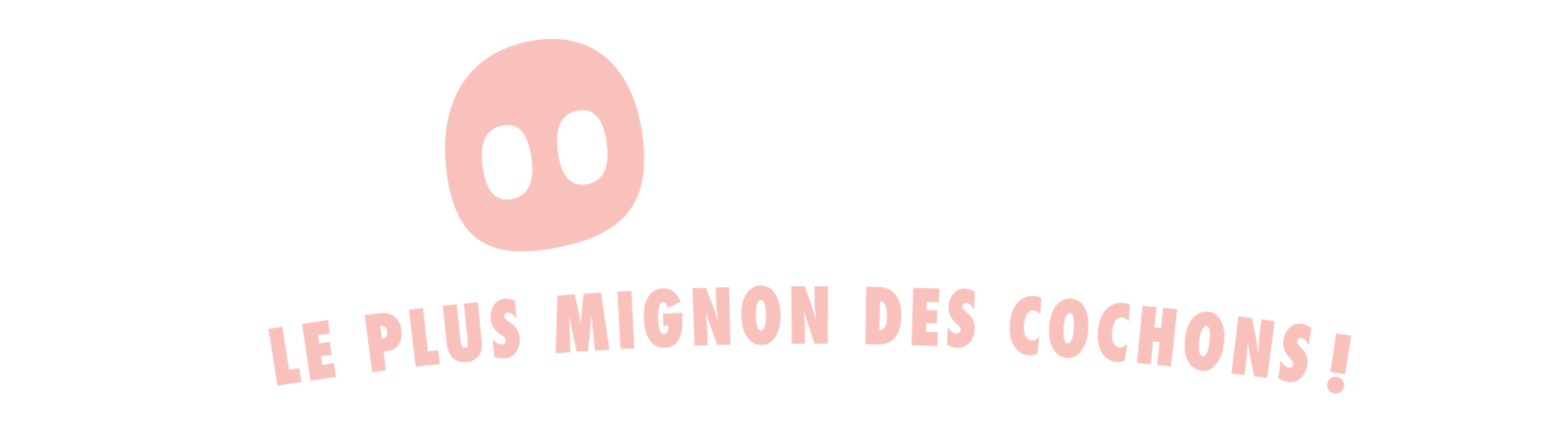 Chonchon, le plus mignon des cochons