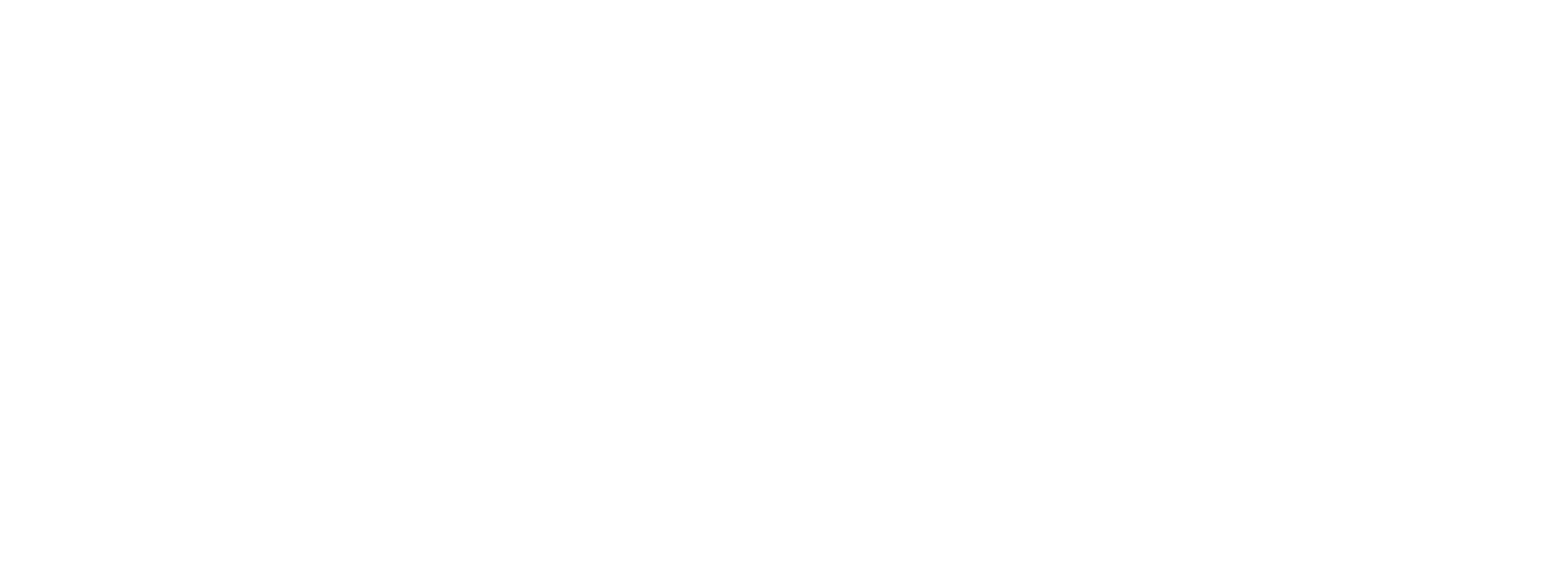 Les Frères Sisters