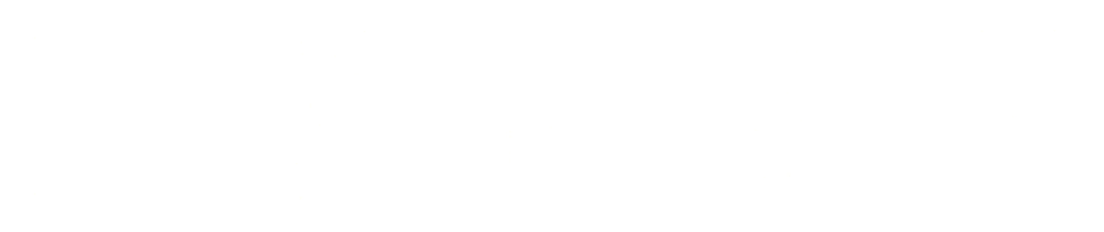 Enemy