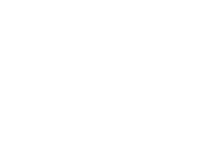 A Big Bold Beautiful Journey