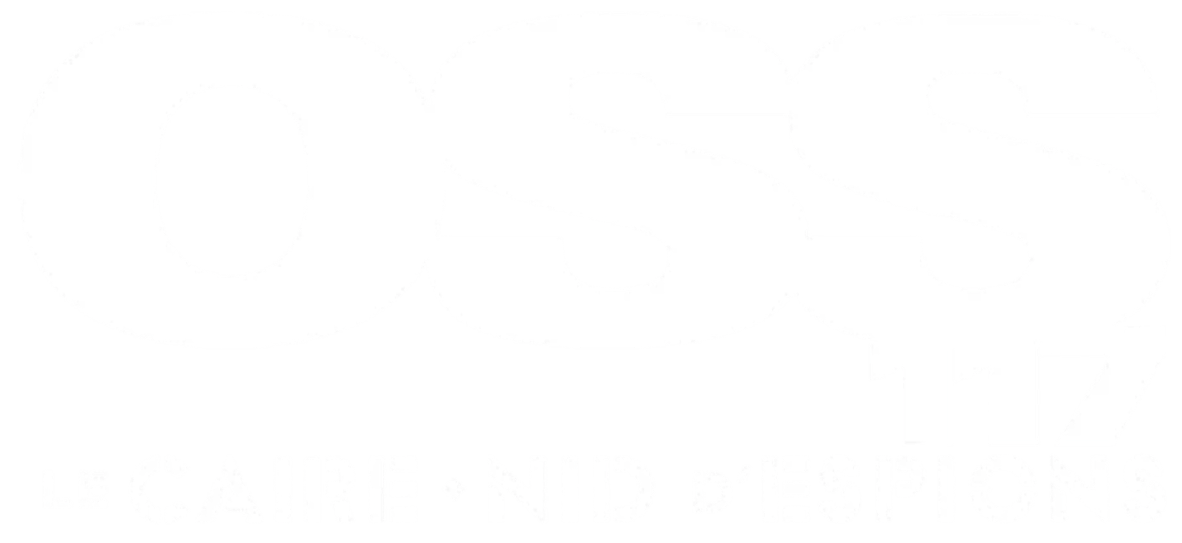 OSS 117 : Le Caire nid d'espions