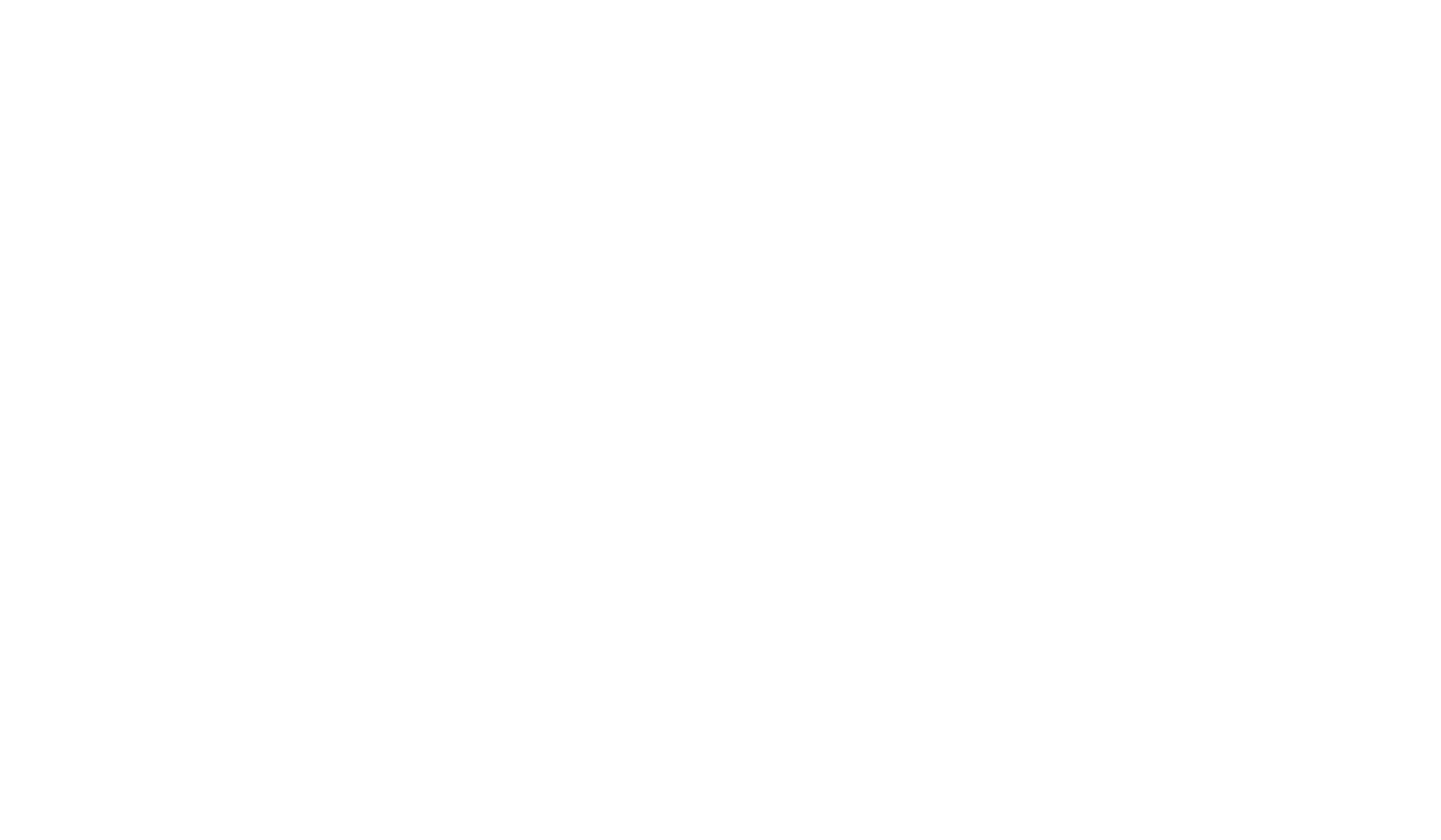 The Brutalist