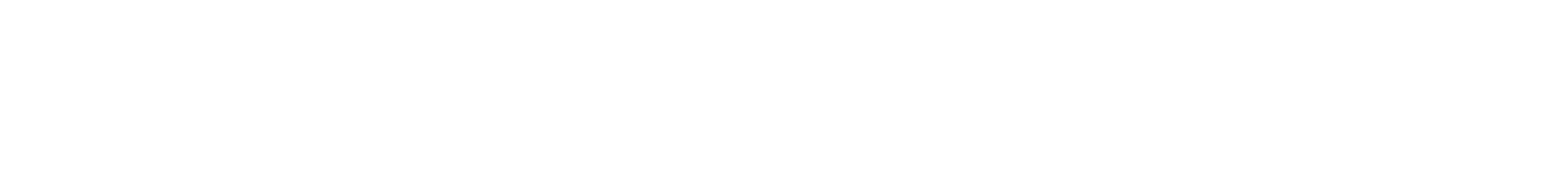 Le Maître du jeu
