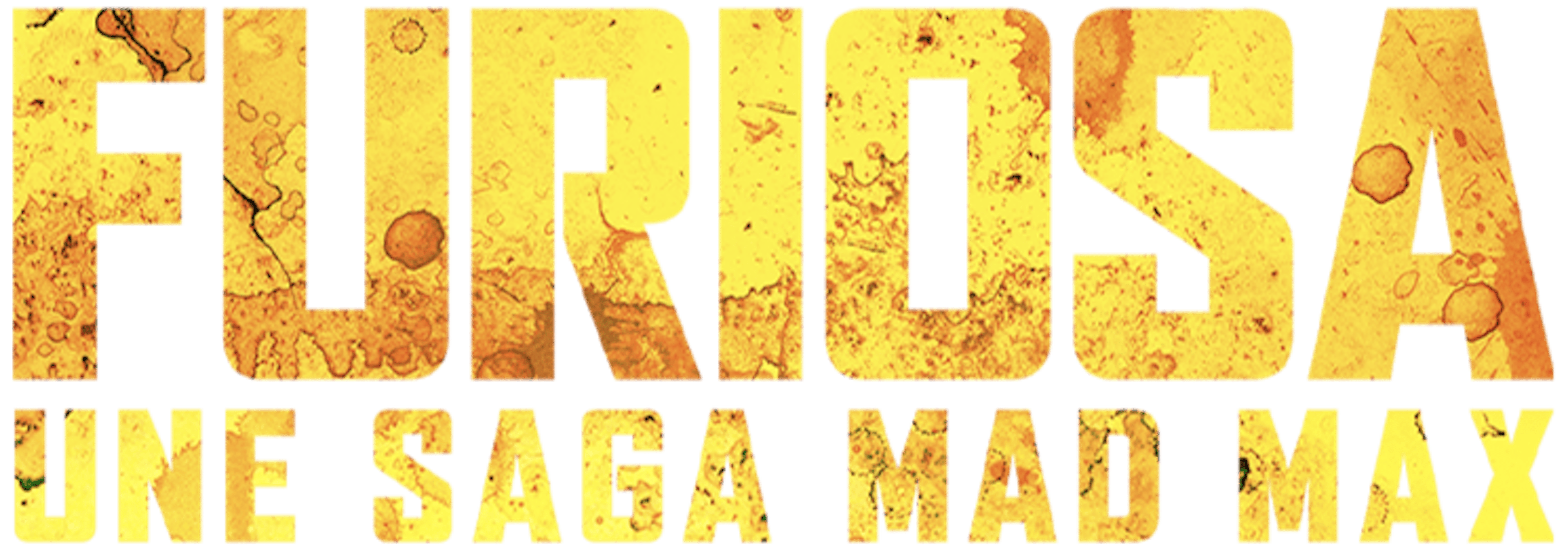 Furiosa : Une saga Mad Max