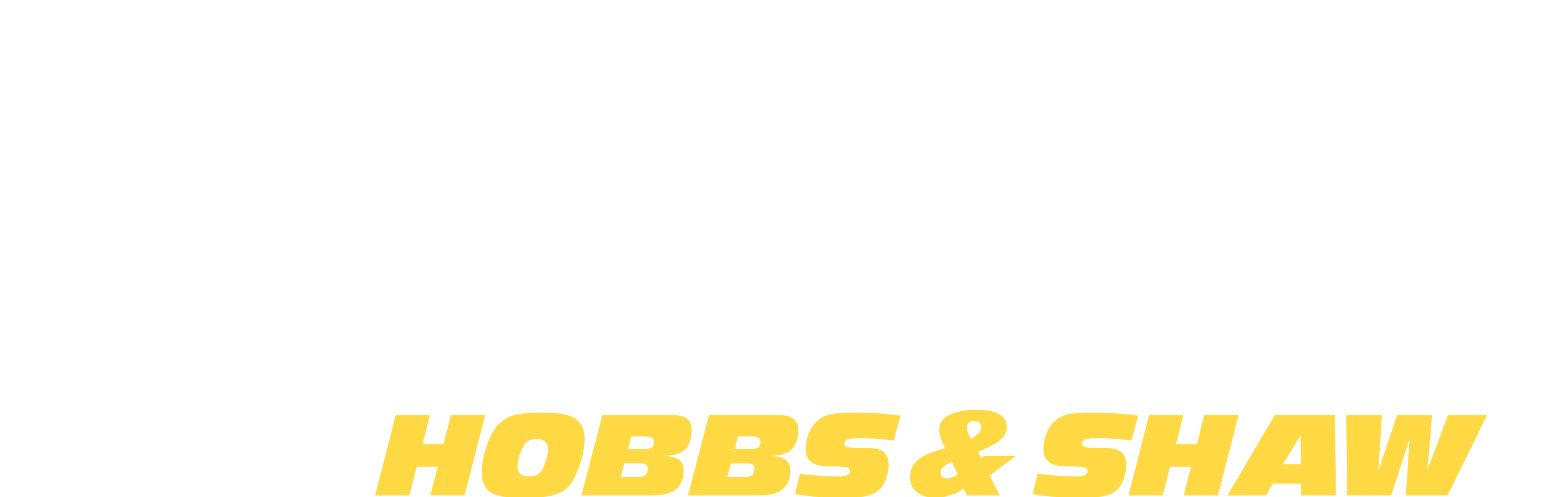 Fast & Furious : Hobbs & Shaw