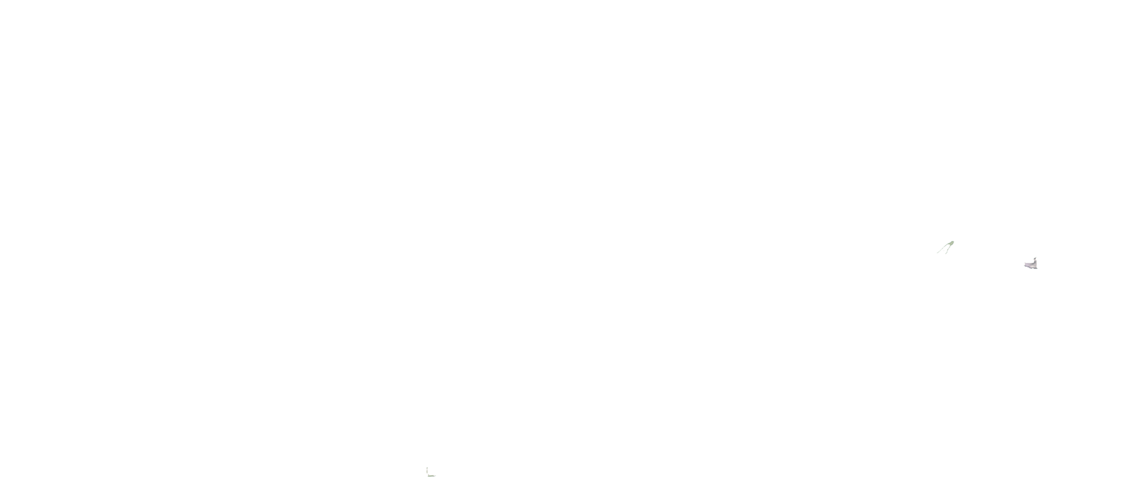Bright Star