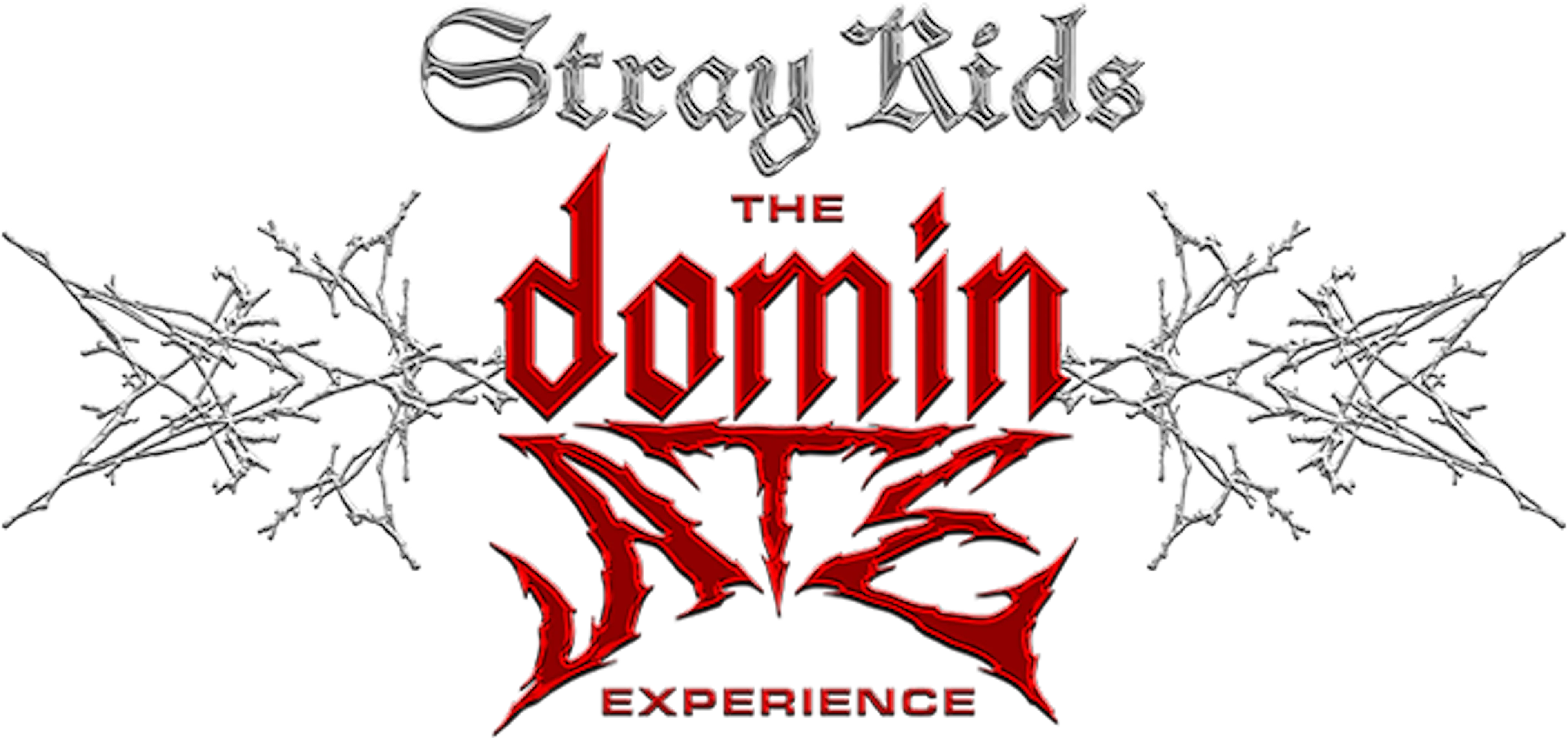 Stray Kids: The dominATE Experience