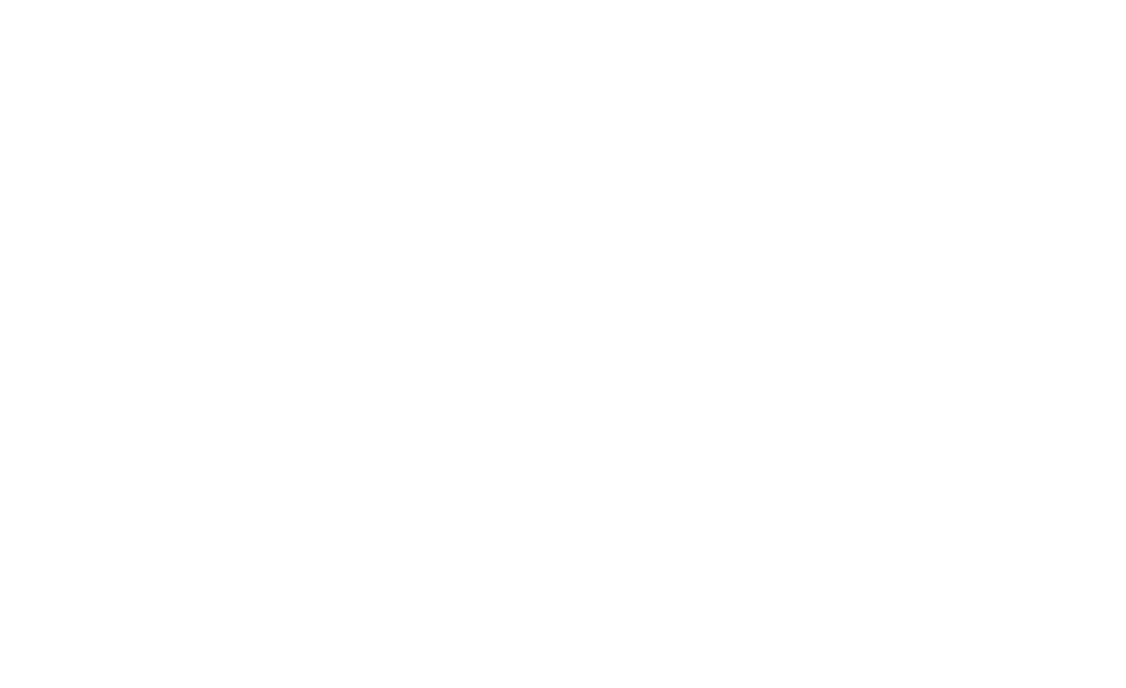 Brice de Nice