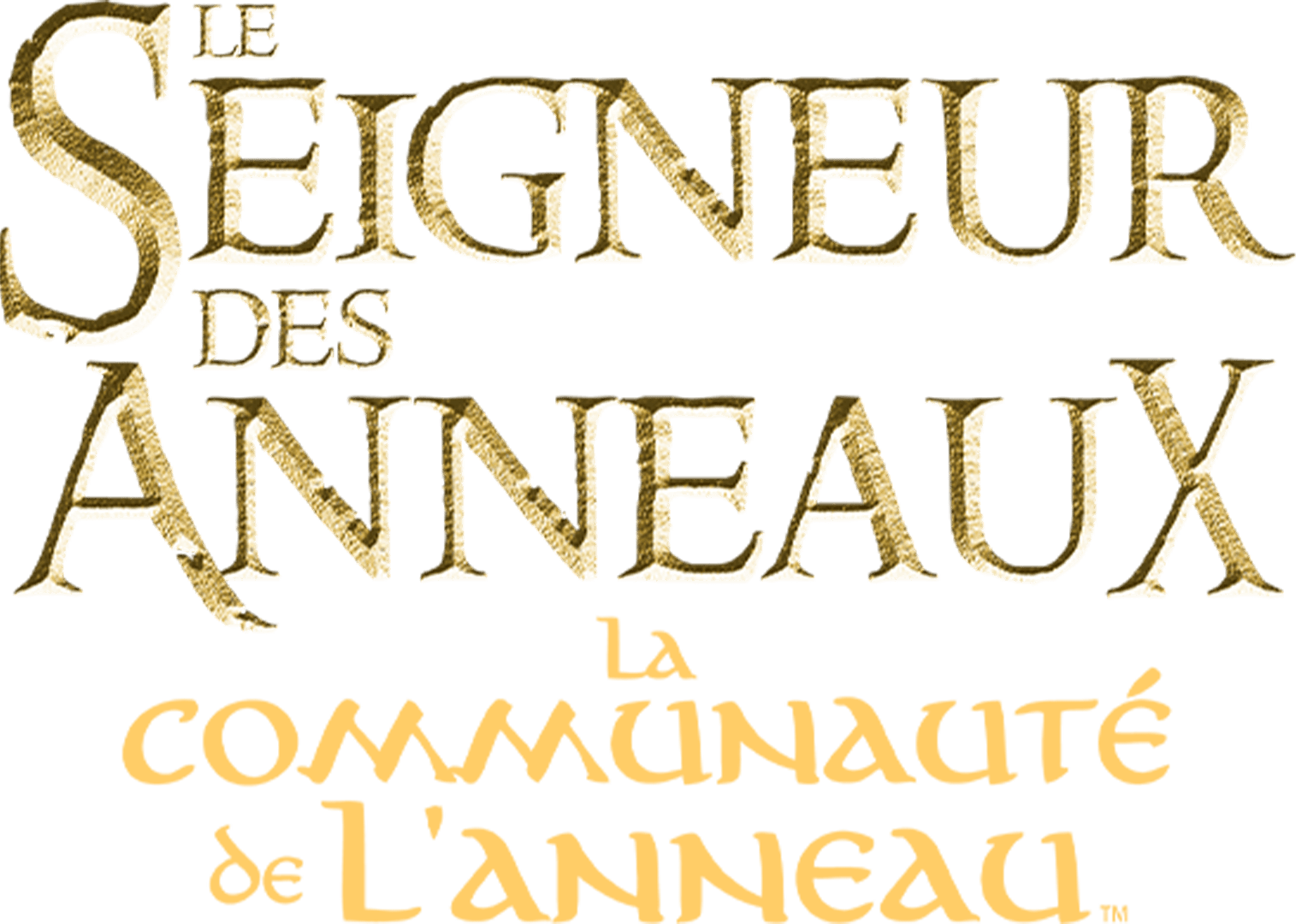 Le Seigneur des anneaux : La Communauté de l'anneau