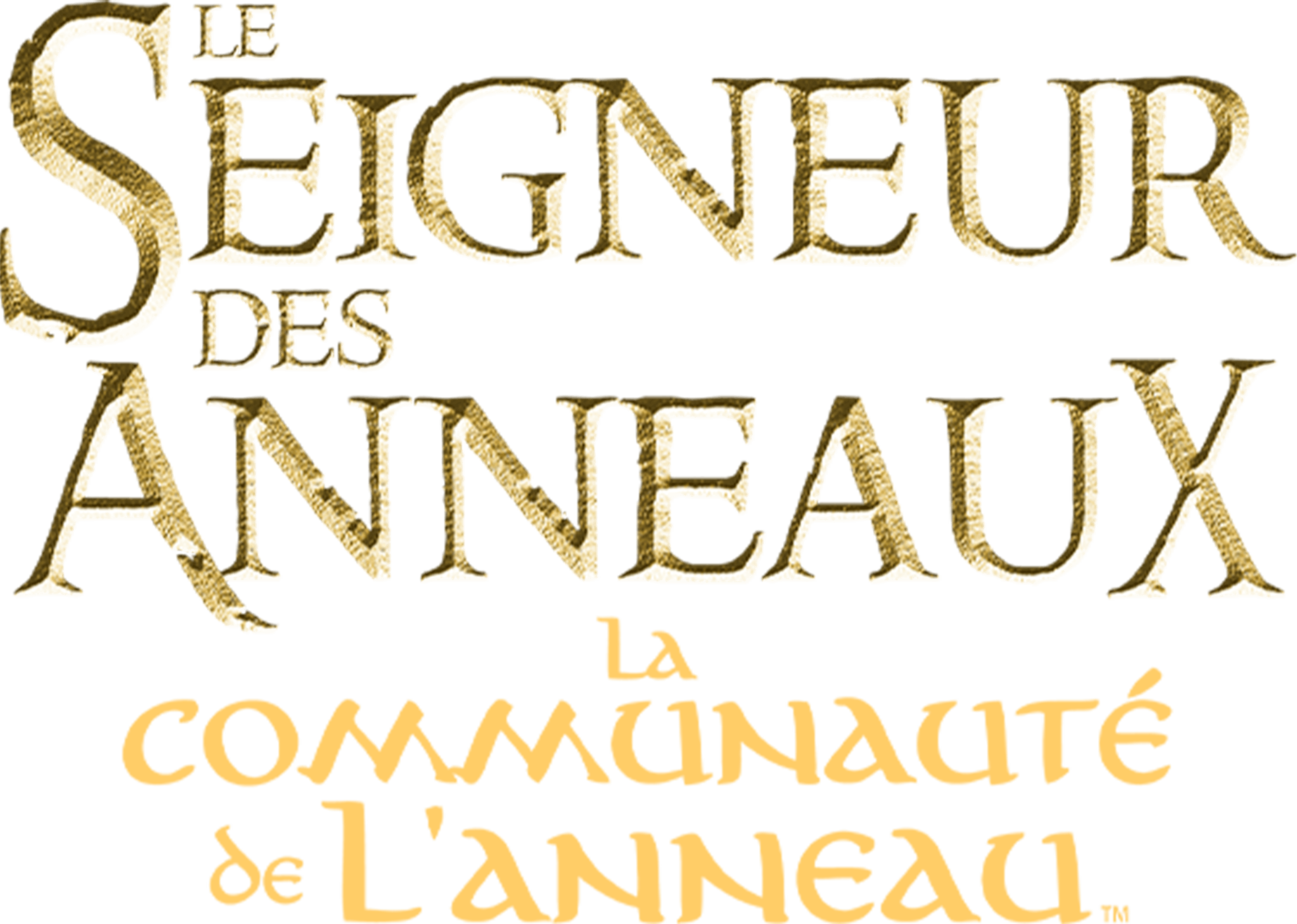 Le Seigneur des anneaux : La Communauté de l'anneau