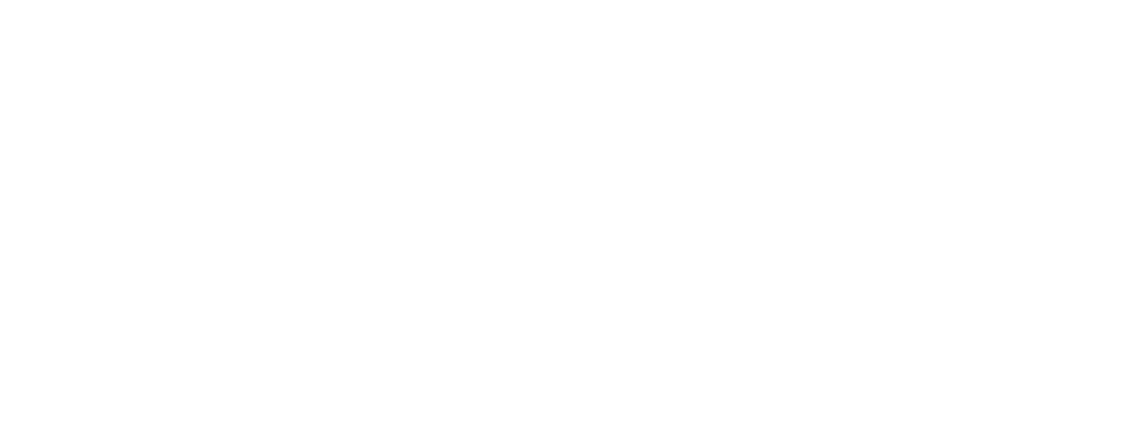 Une Vie volée